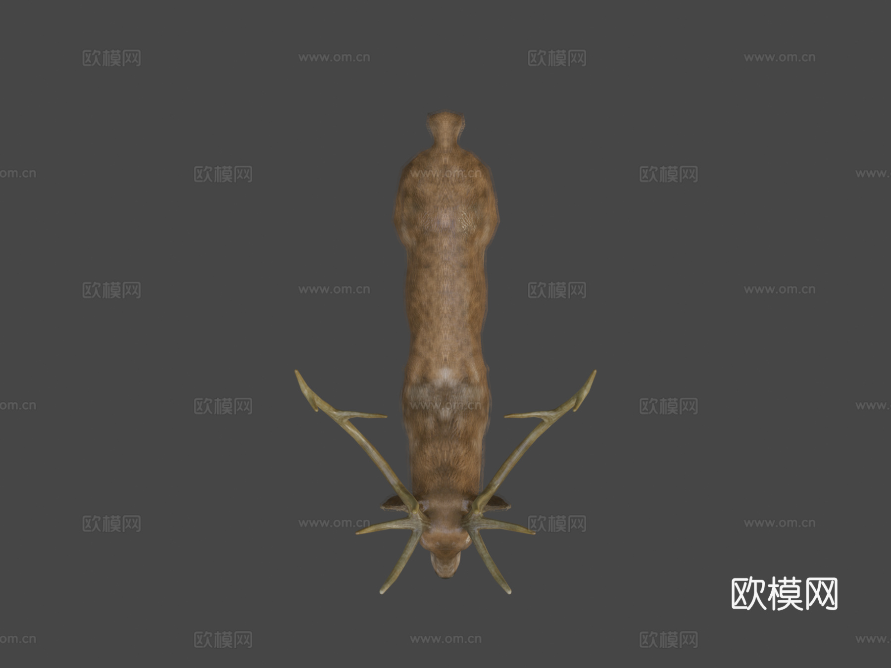 雄鹿动画3d模型