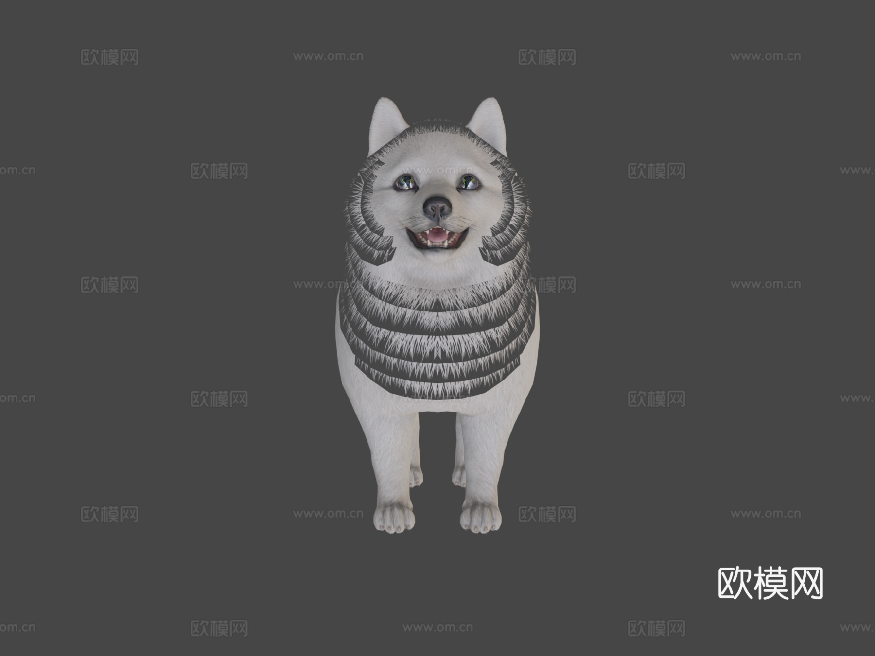 博美犬3d模型
