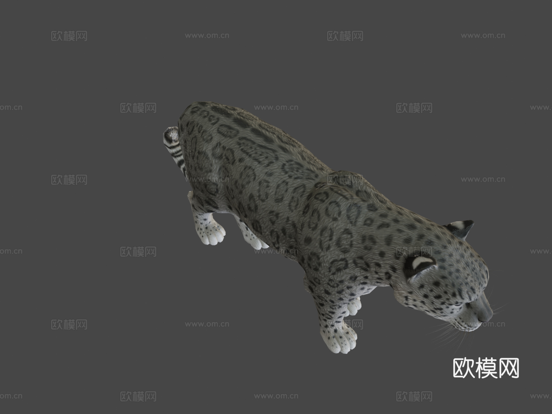 雪豹3d模型