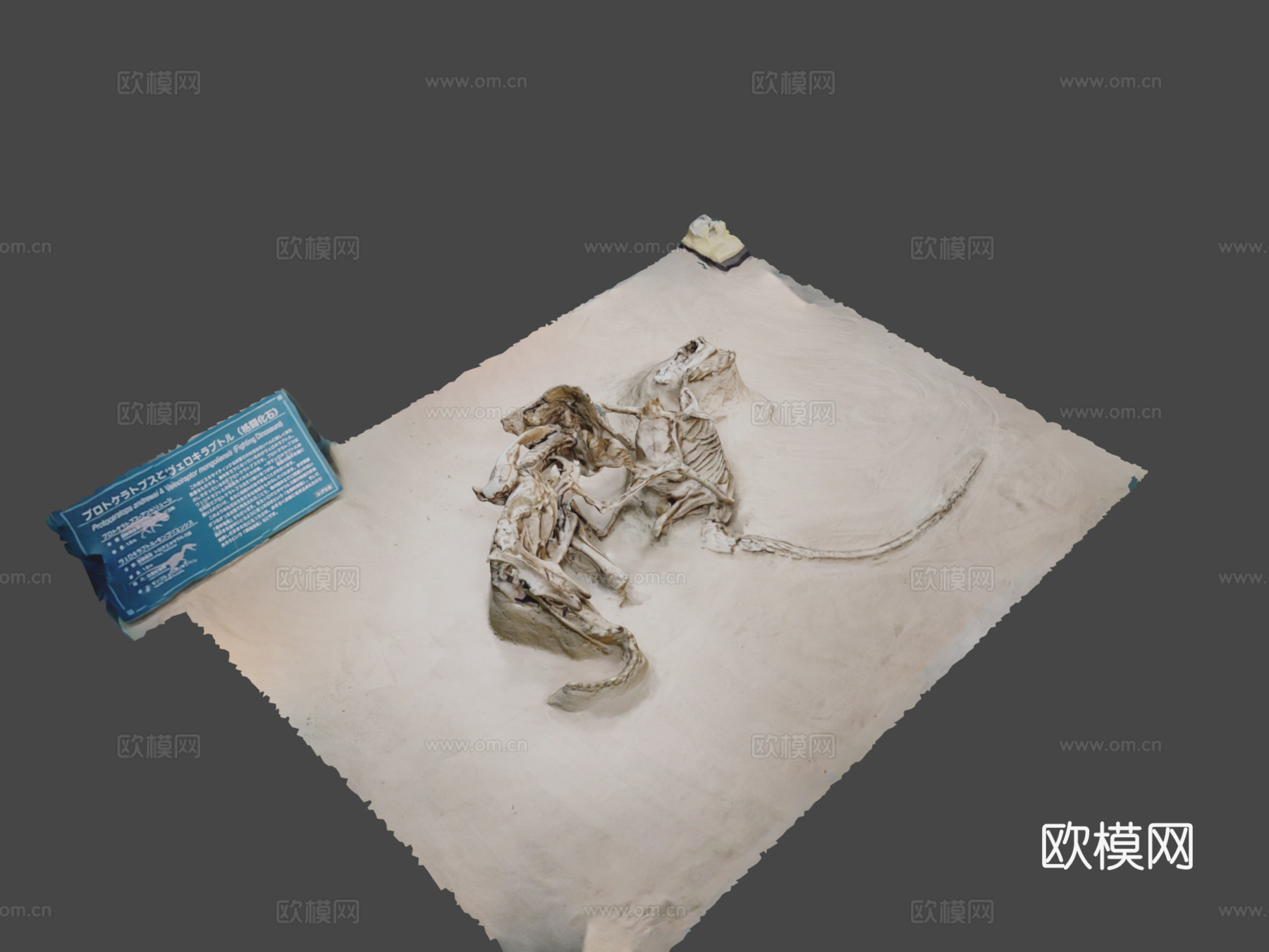 战斗恐龙3d模型