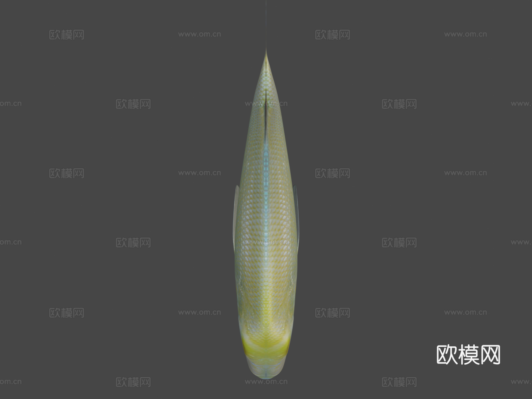 菖蒲菖蒲3d模型