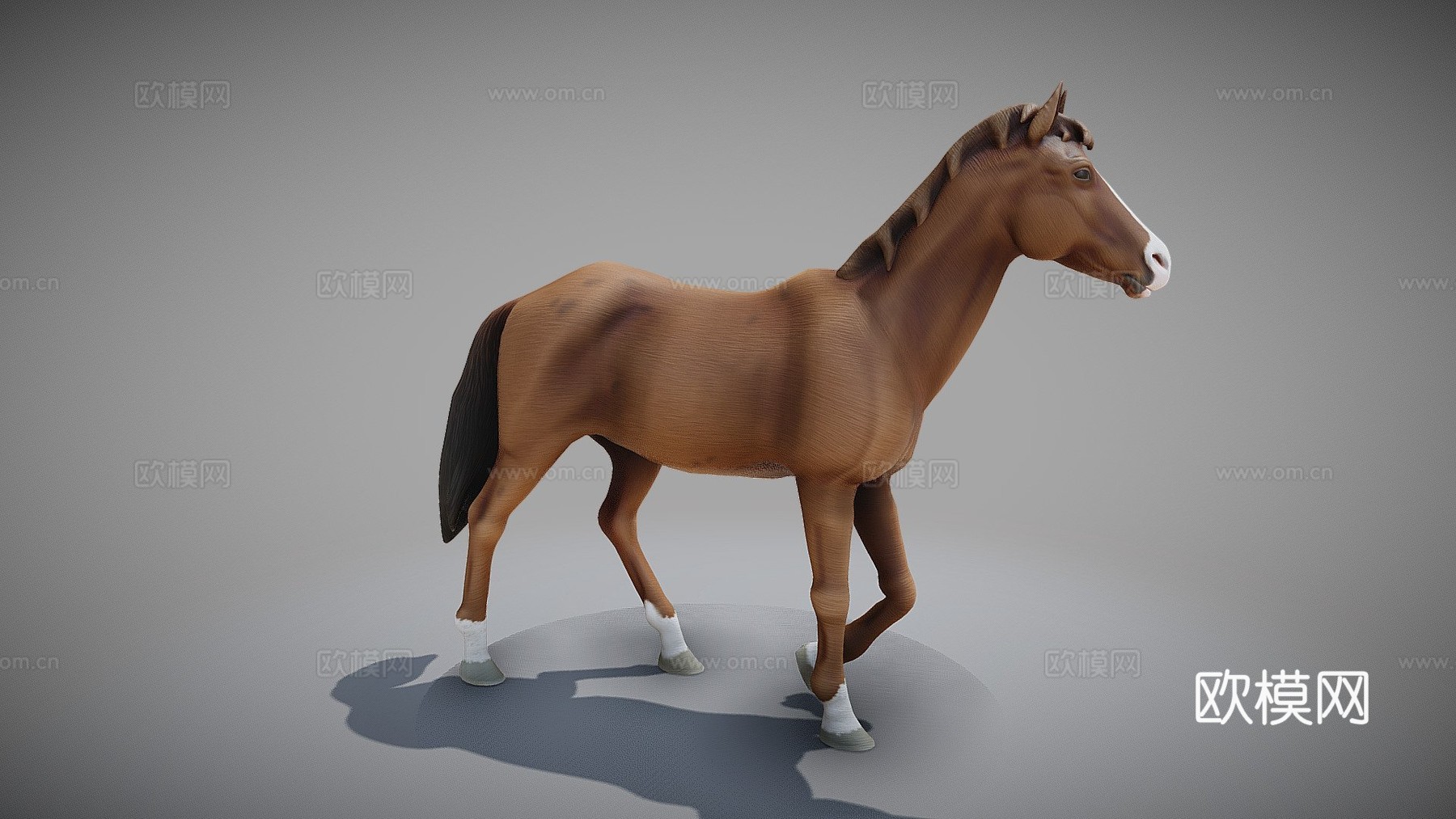 动画马3d模型