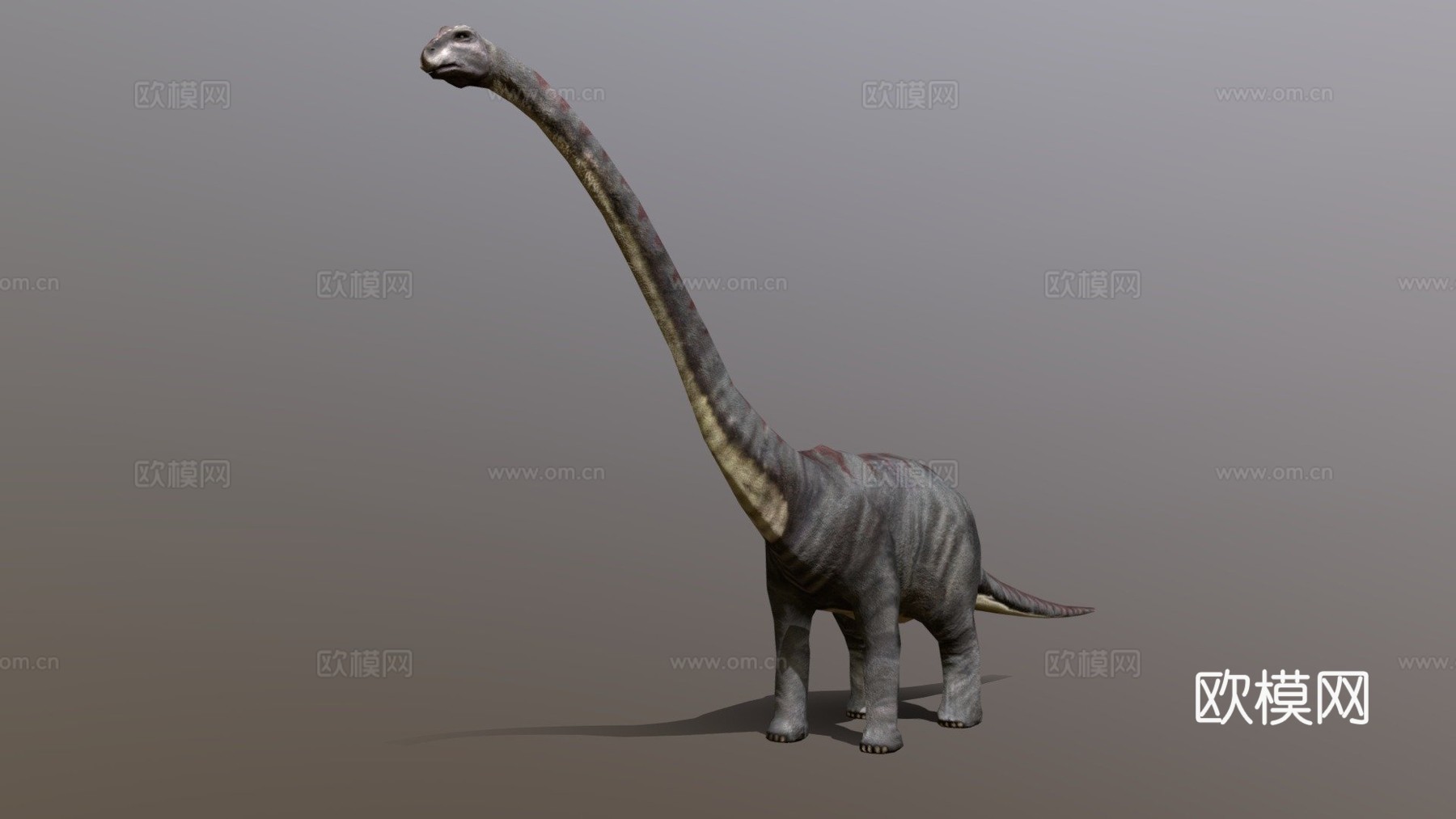 DRT恐龙-蜥脚类3d模型