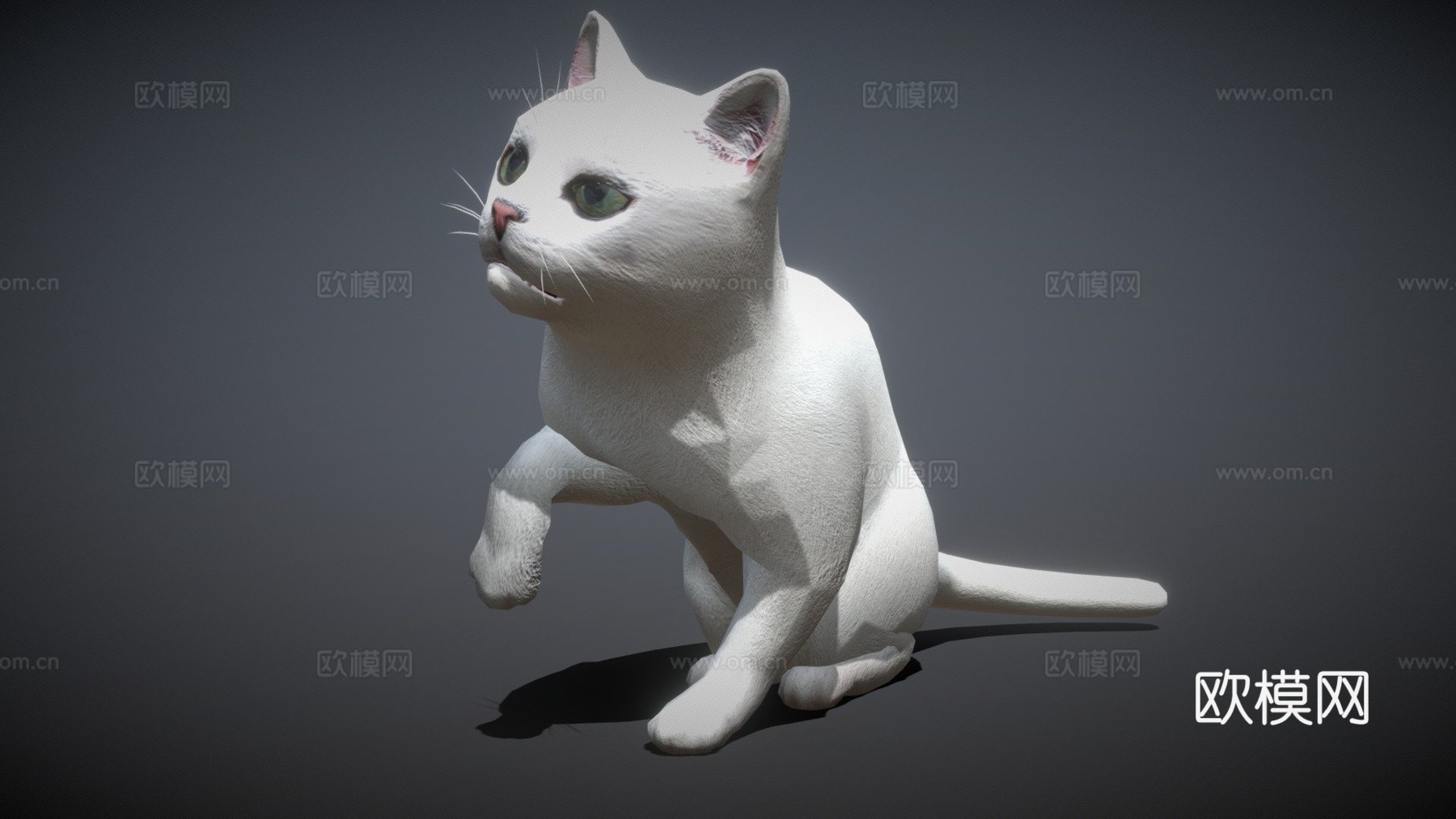 DRT-白猫3d模型