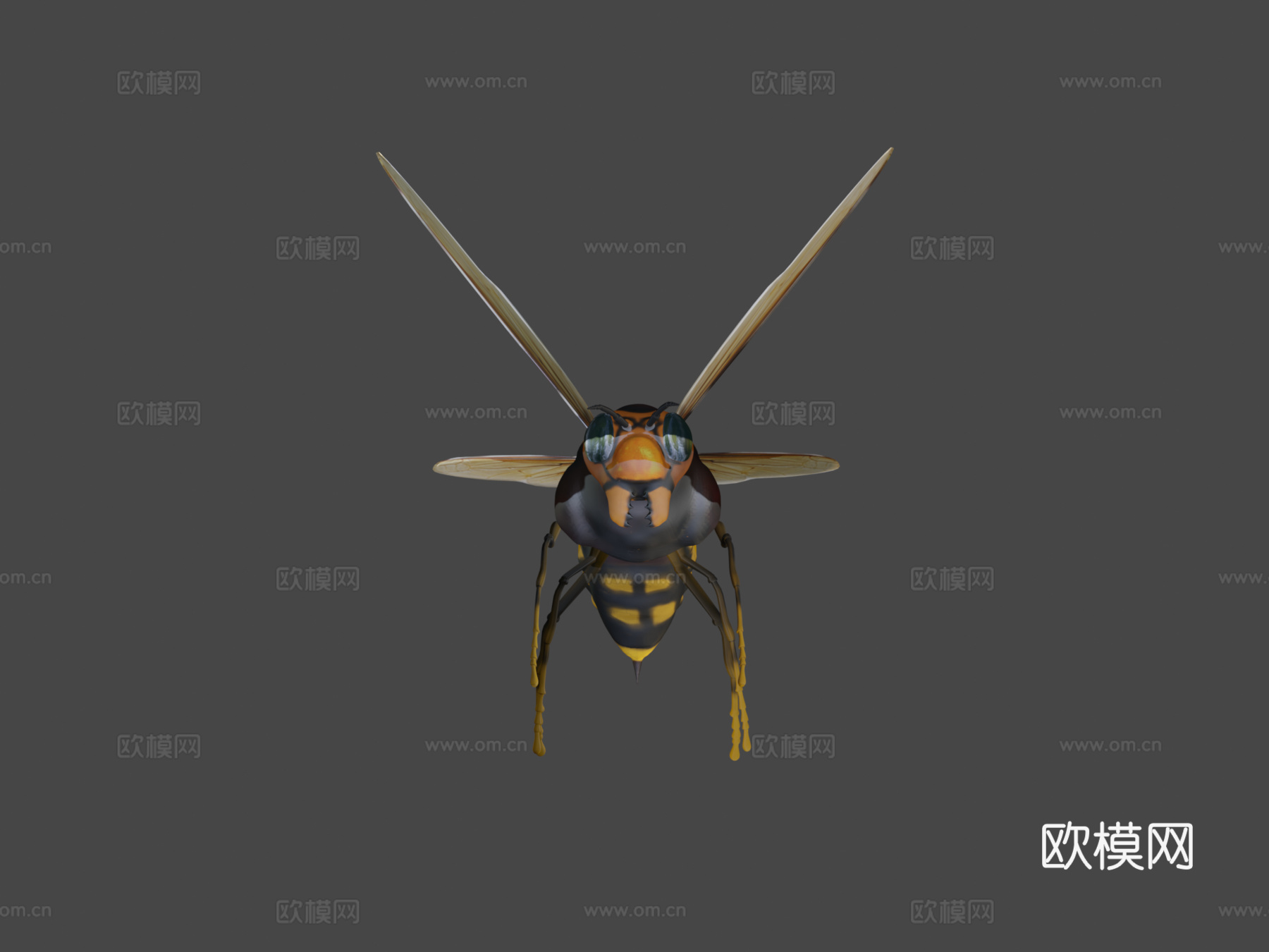 飞黄蜂3d模型
