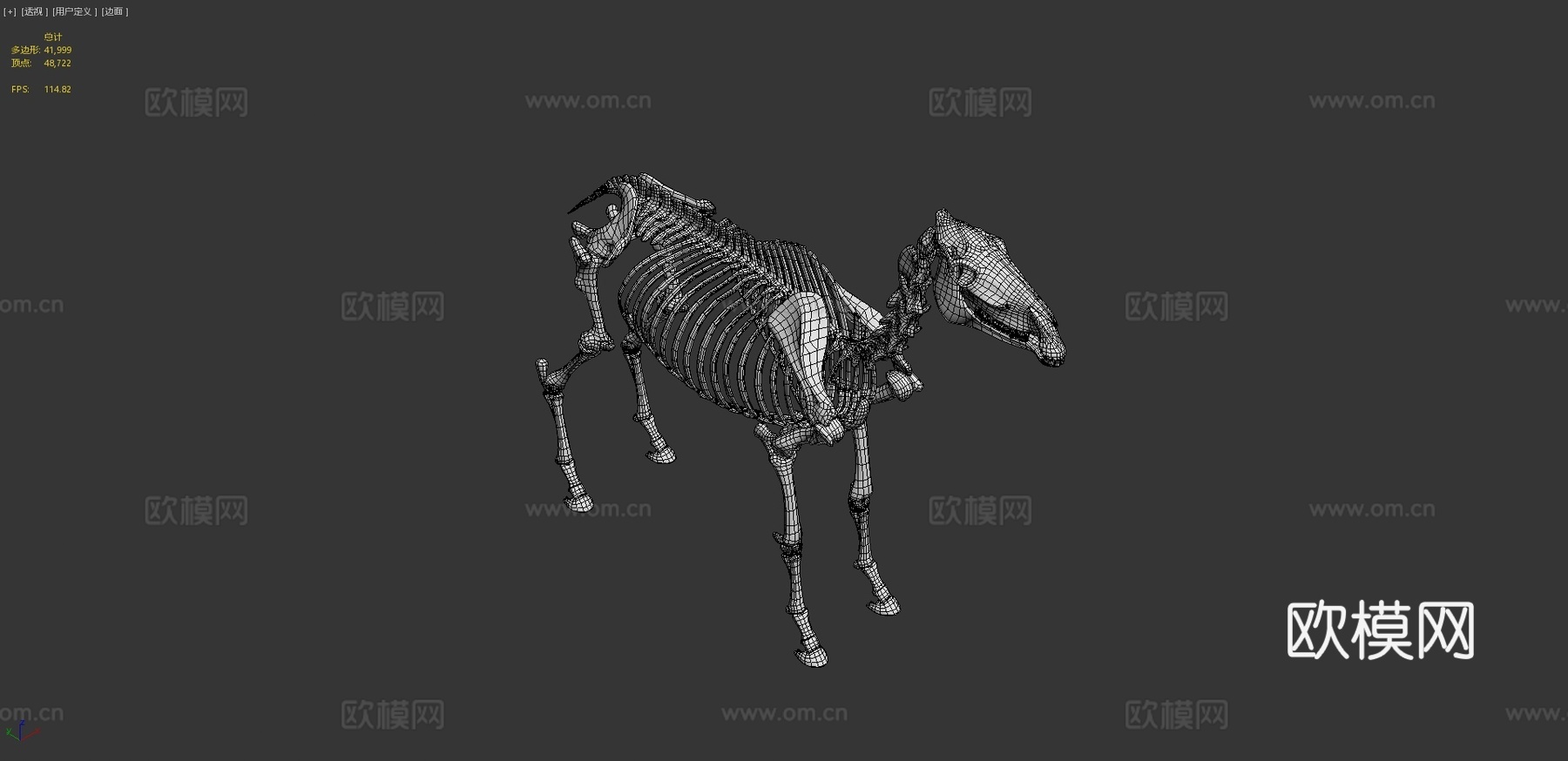 马骨架3d模型