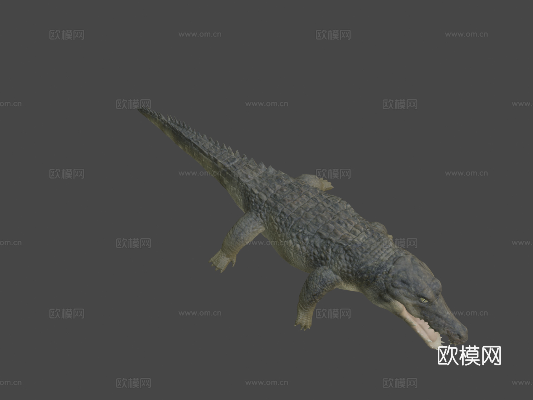 鳄鱼动画3d模型