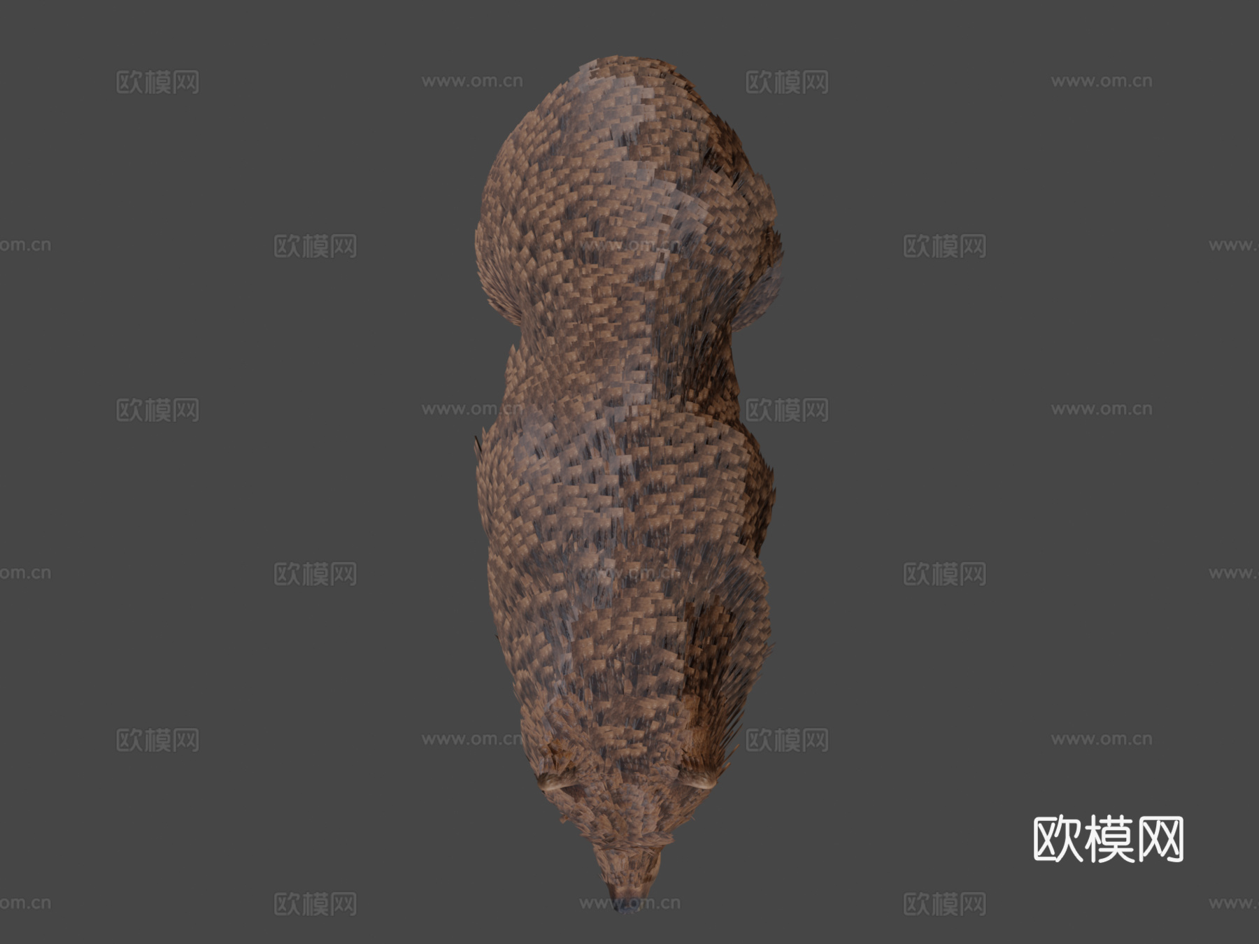 毛绒熊3d模型
