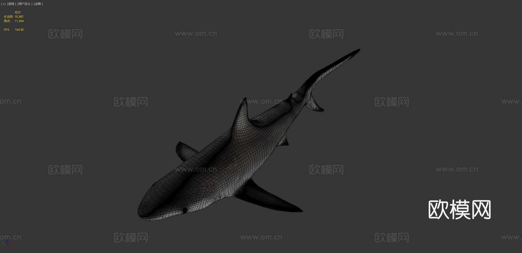 A模型-加勒比礁鲨3d模型