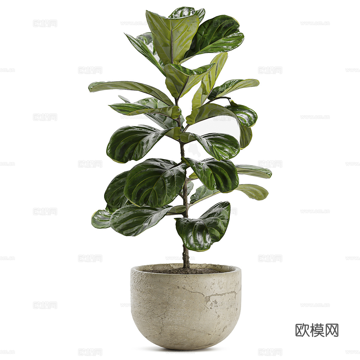现代侘寂绿植盆栽3d模型