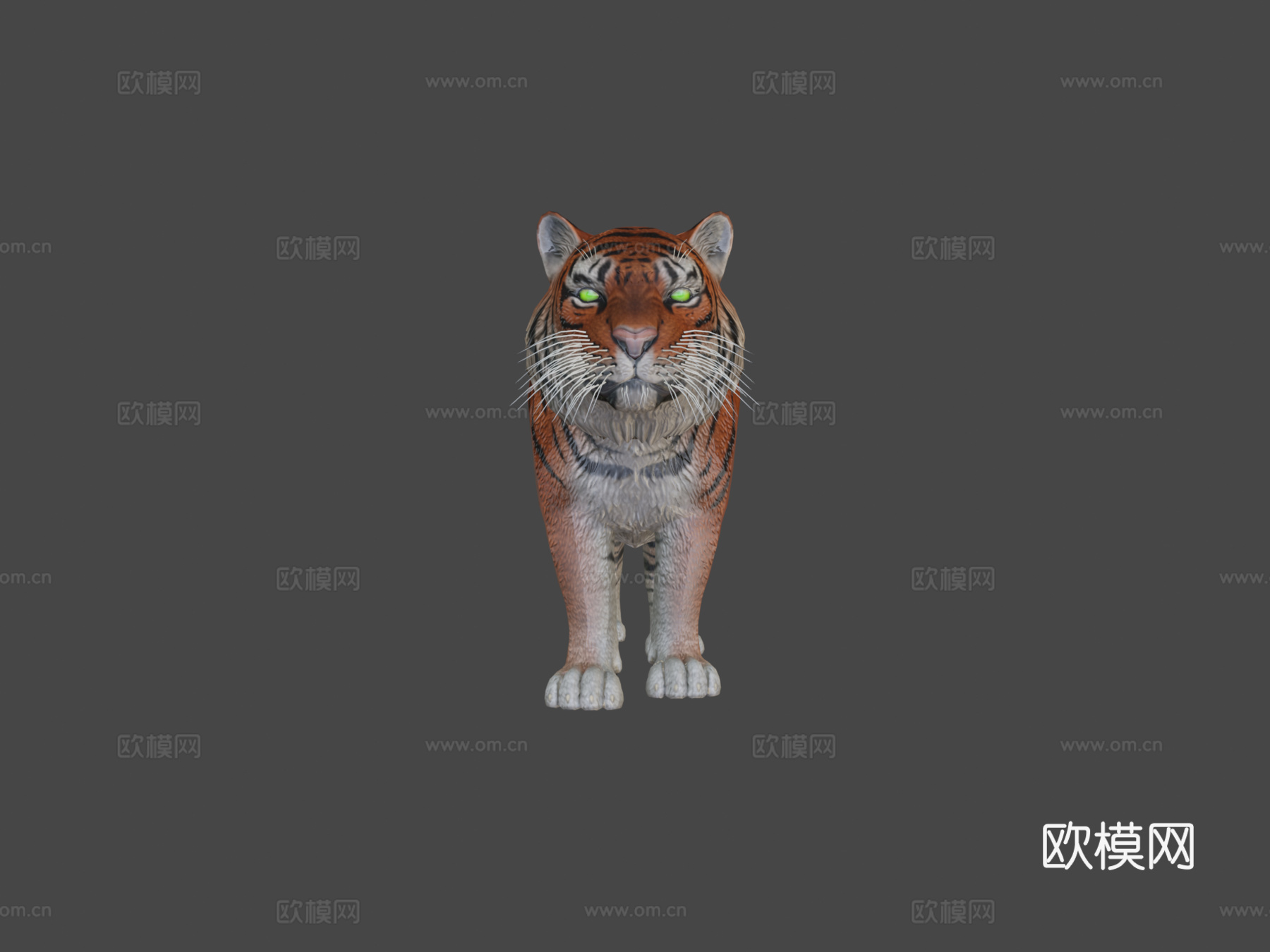 里海虎3d模型