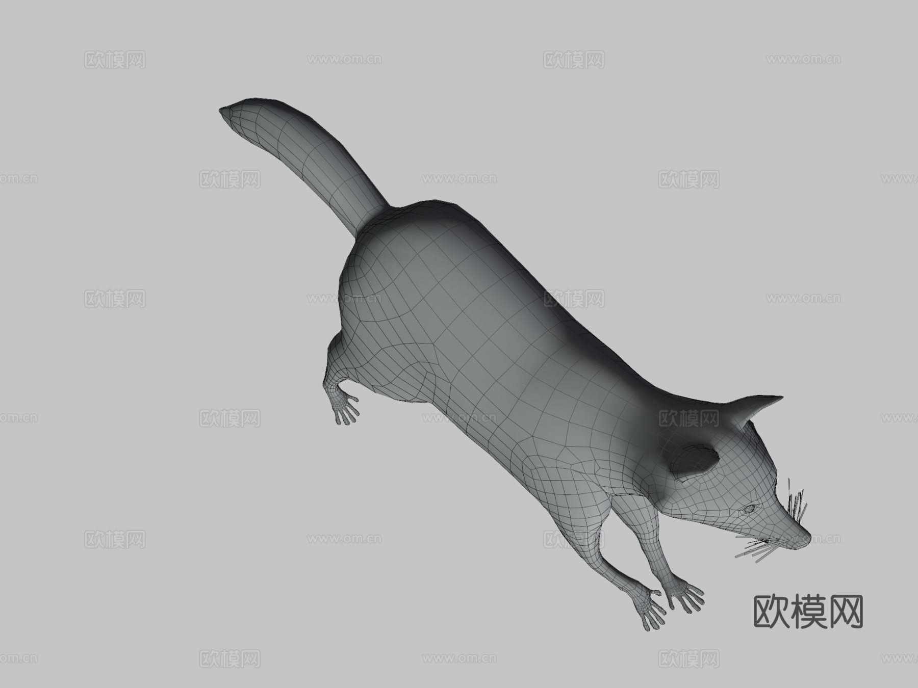 奔跑浣熊动画3d模型