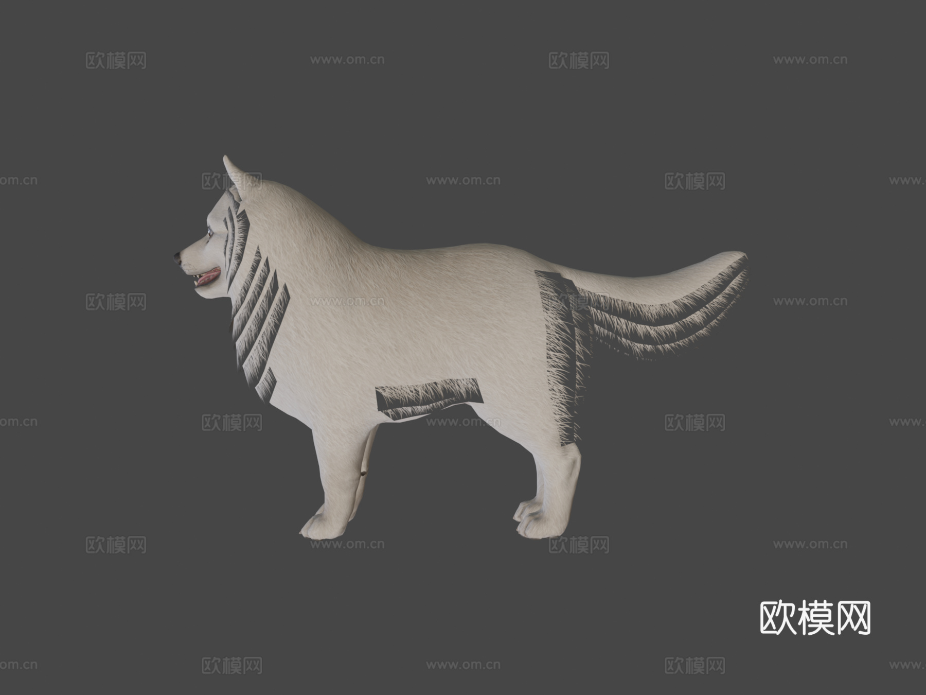博美犬3d模型