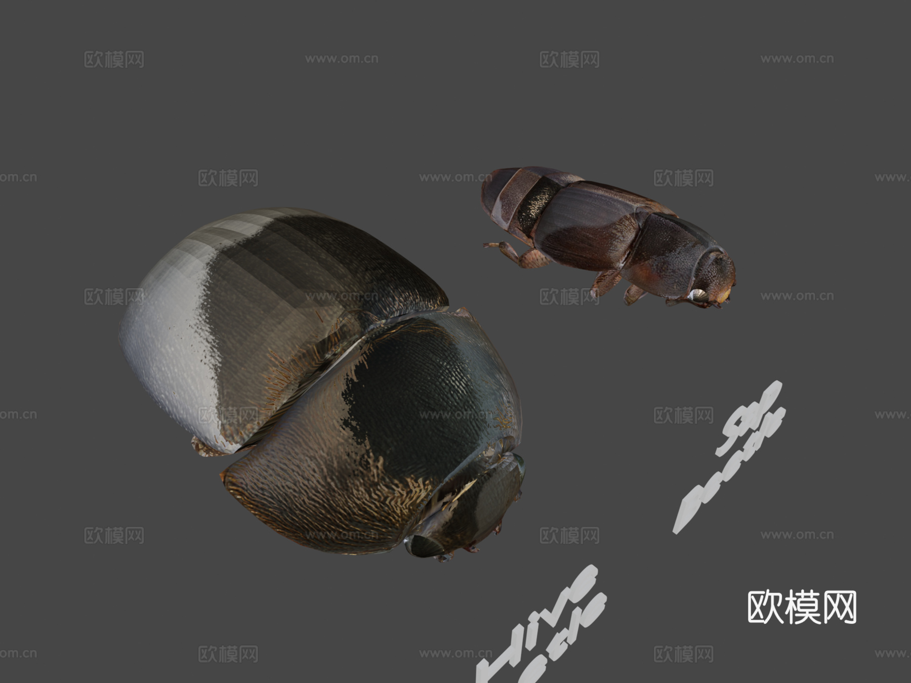 树汁与蜂甲虫对比3d模型