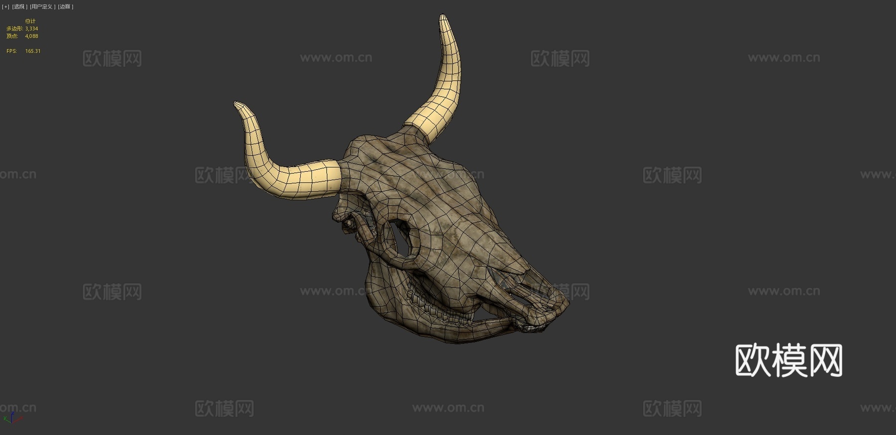 牛头骨3d模型