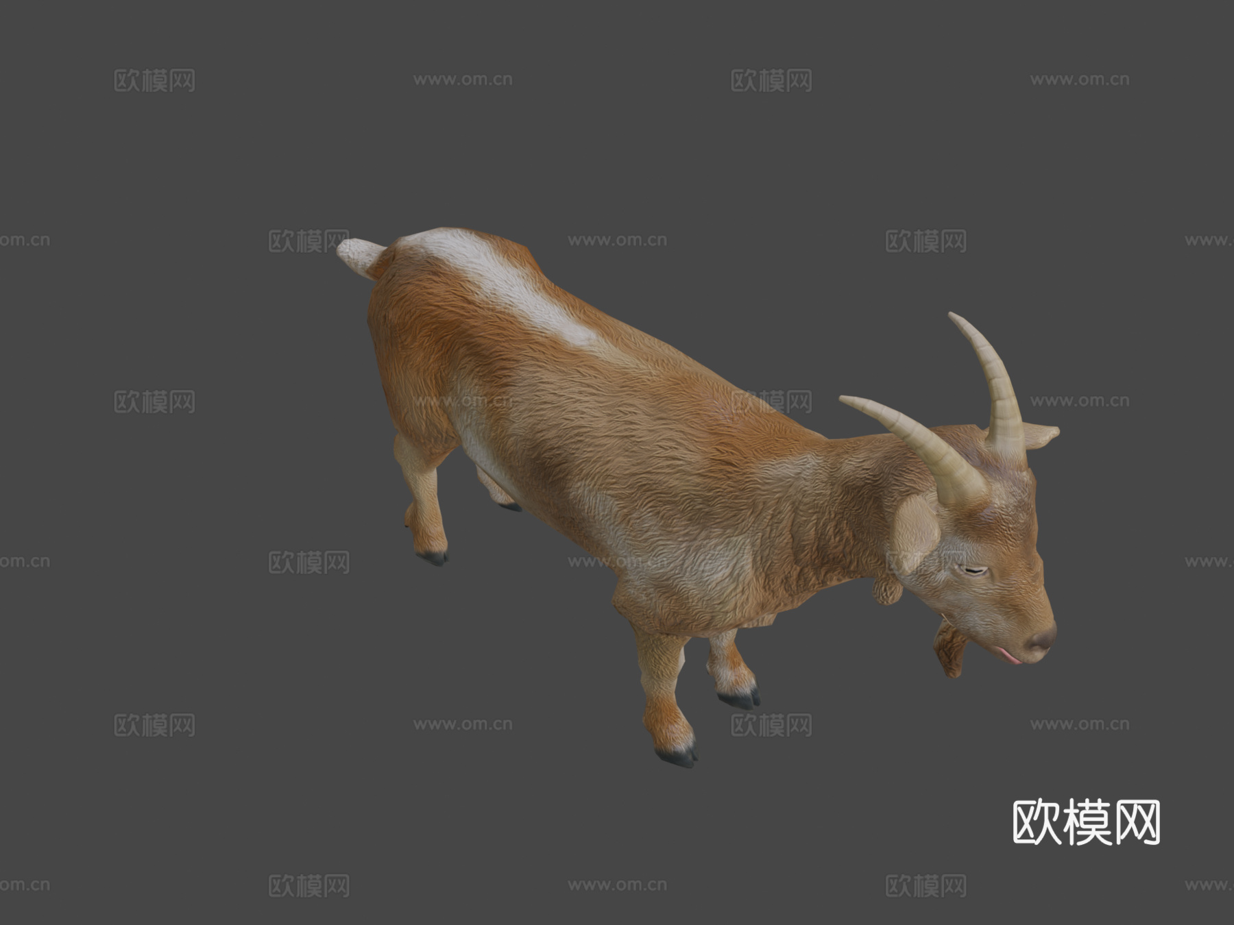 山羊动画3d模型