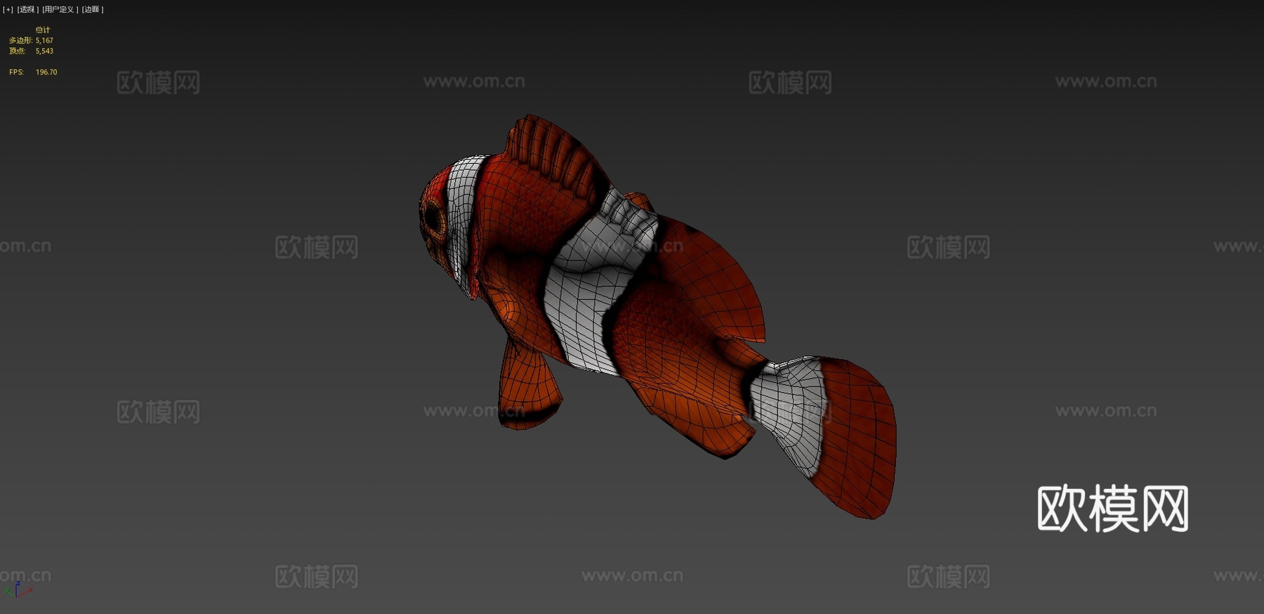 橙色小丑鱼3d模型