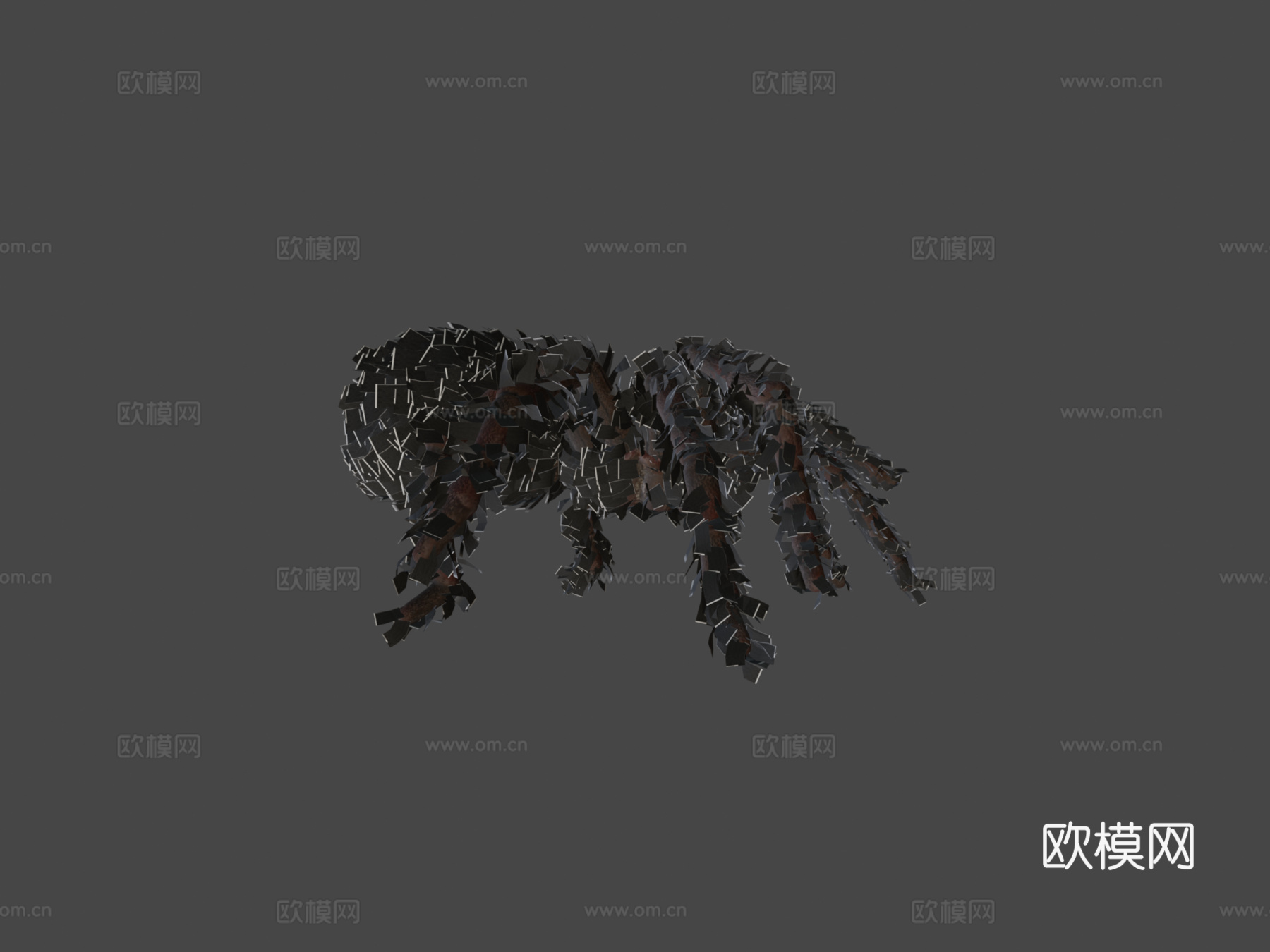 蜘蛛-狼蛛含动画3d模型