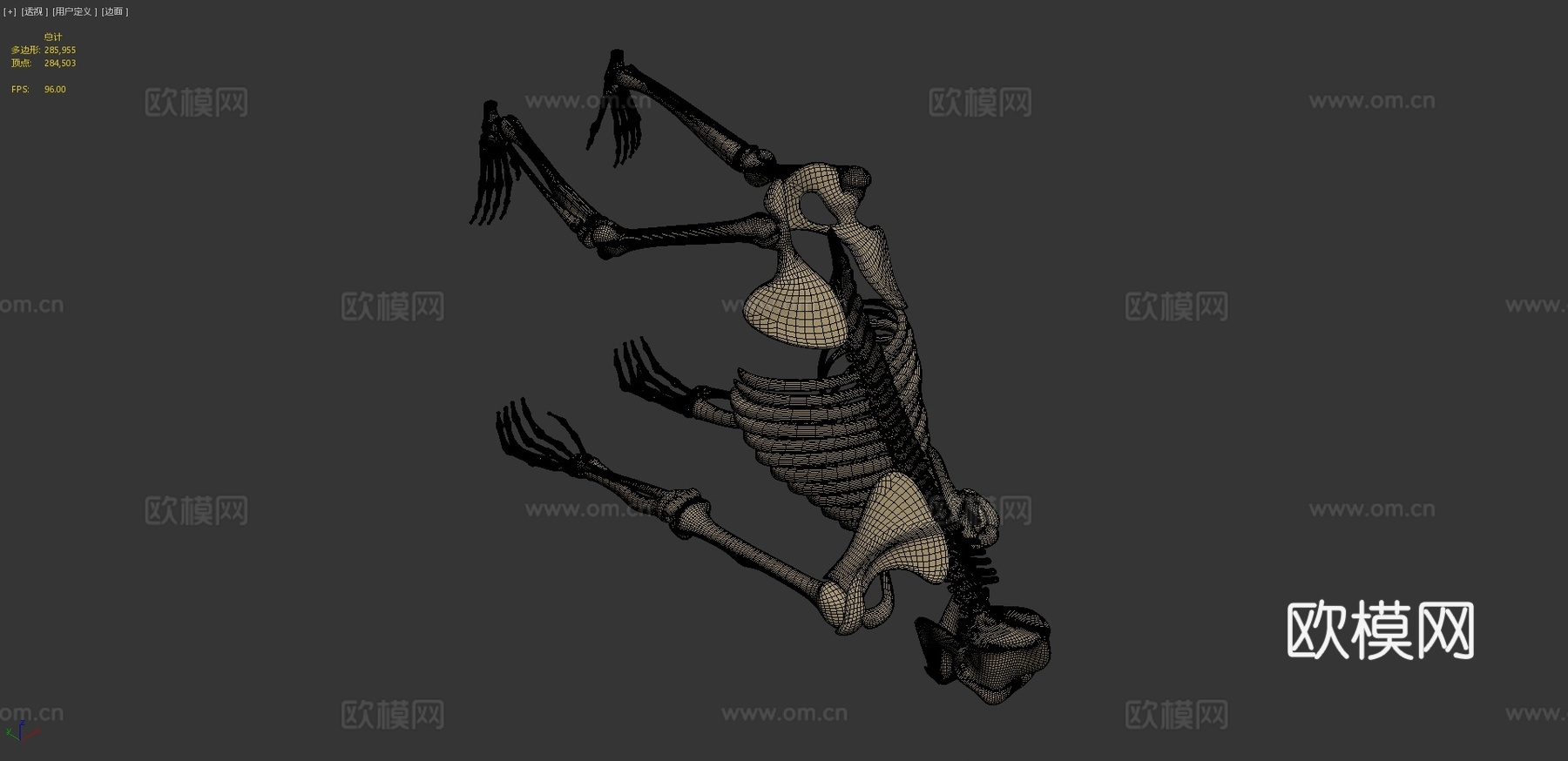 大猩猩骨架3d模型