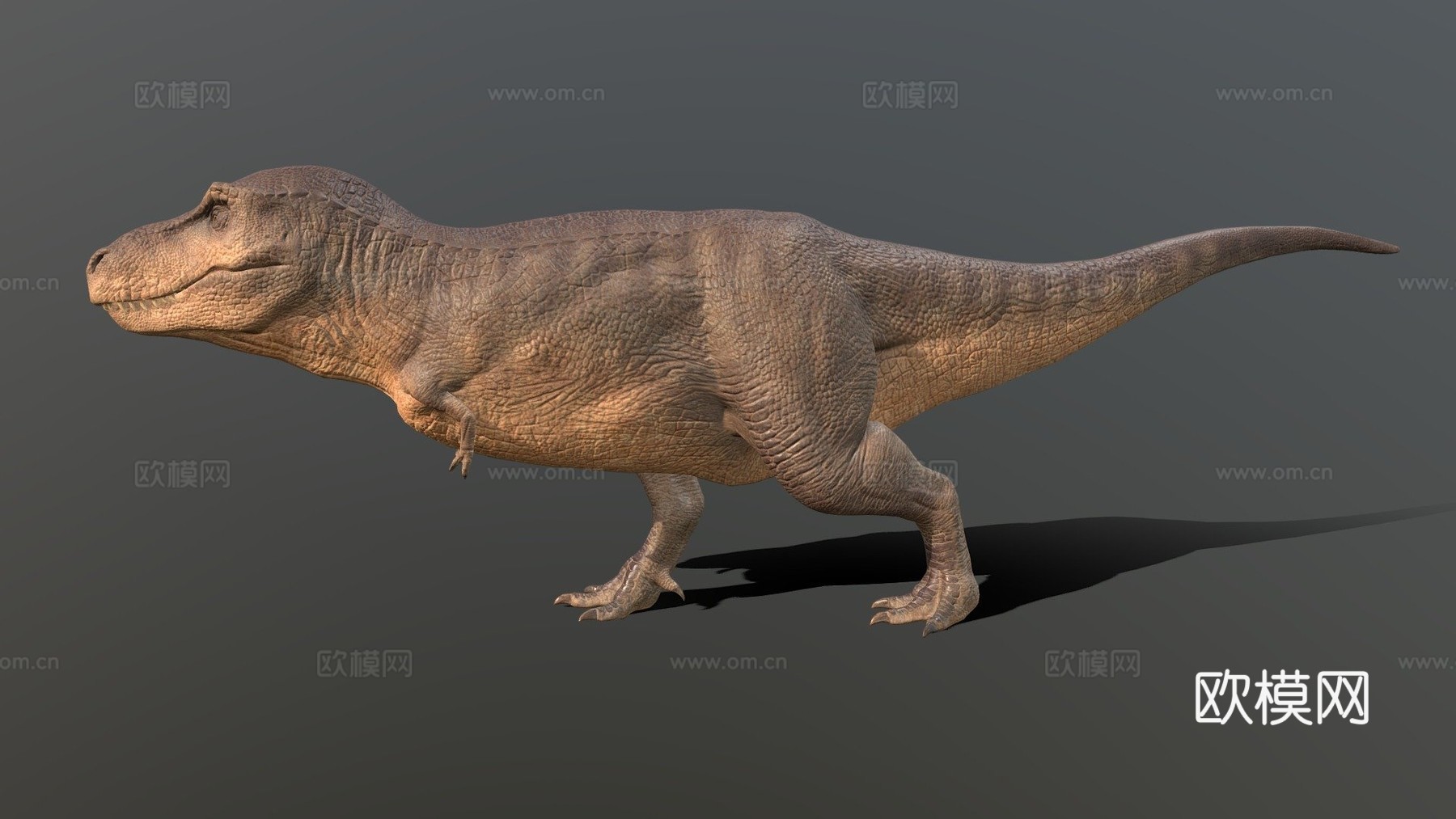 霸王龙3d模型
