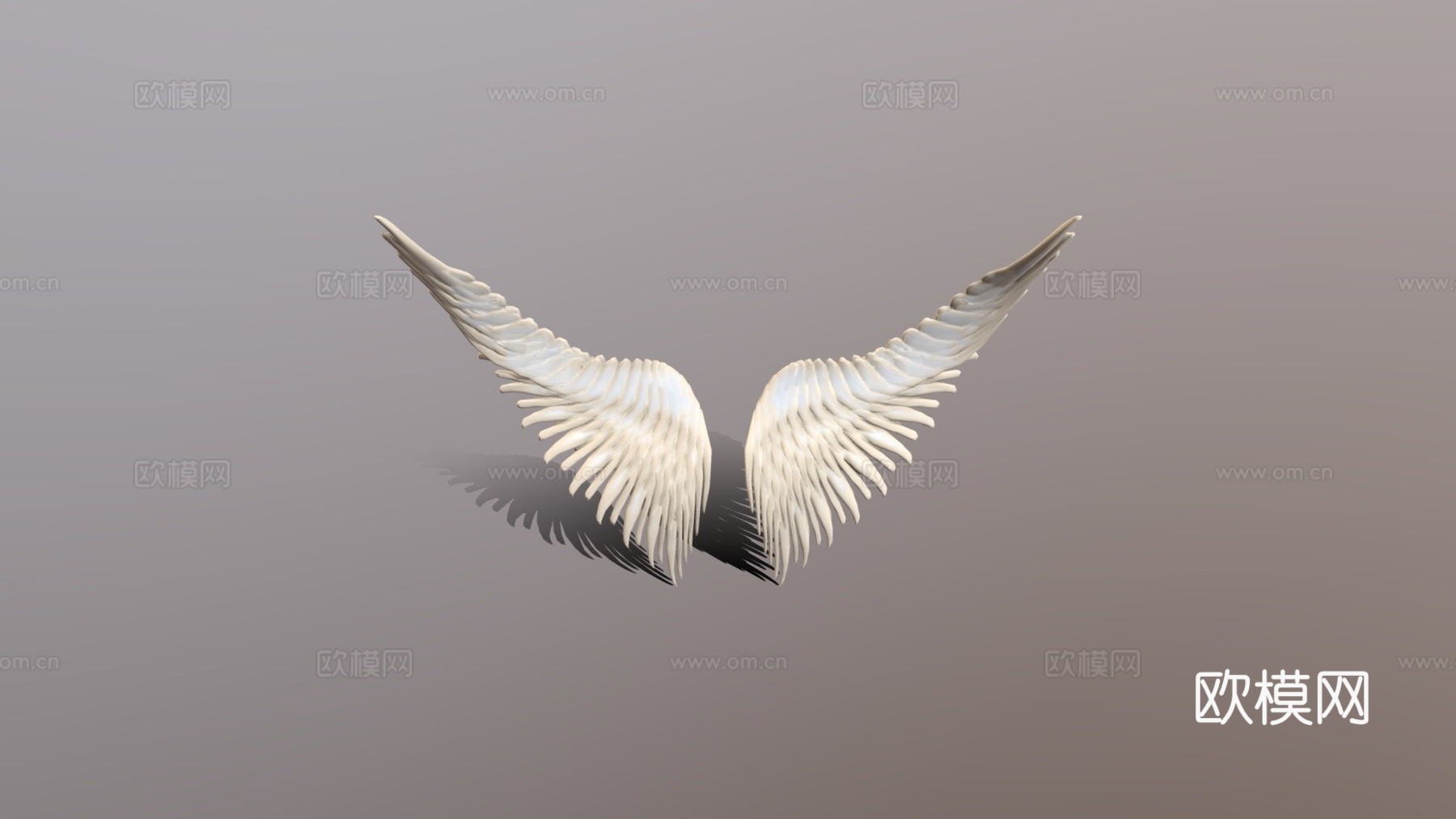 翅膀3d模型