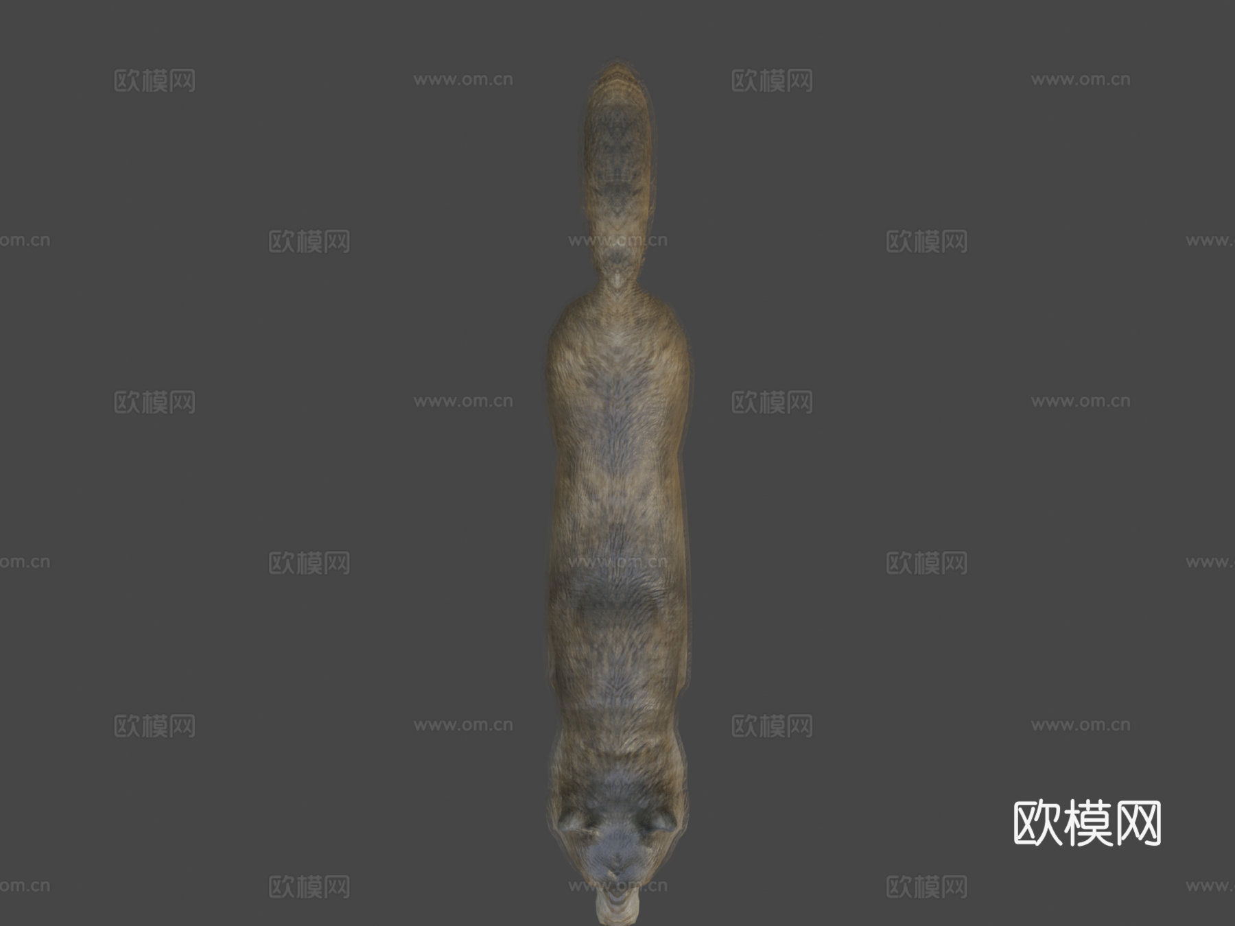 狼动画3d模型