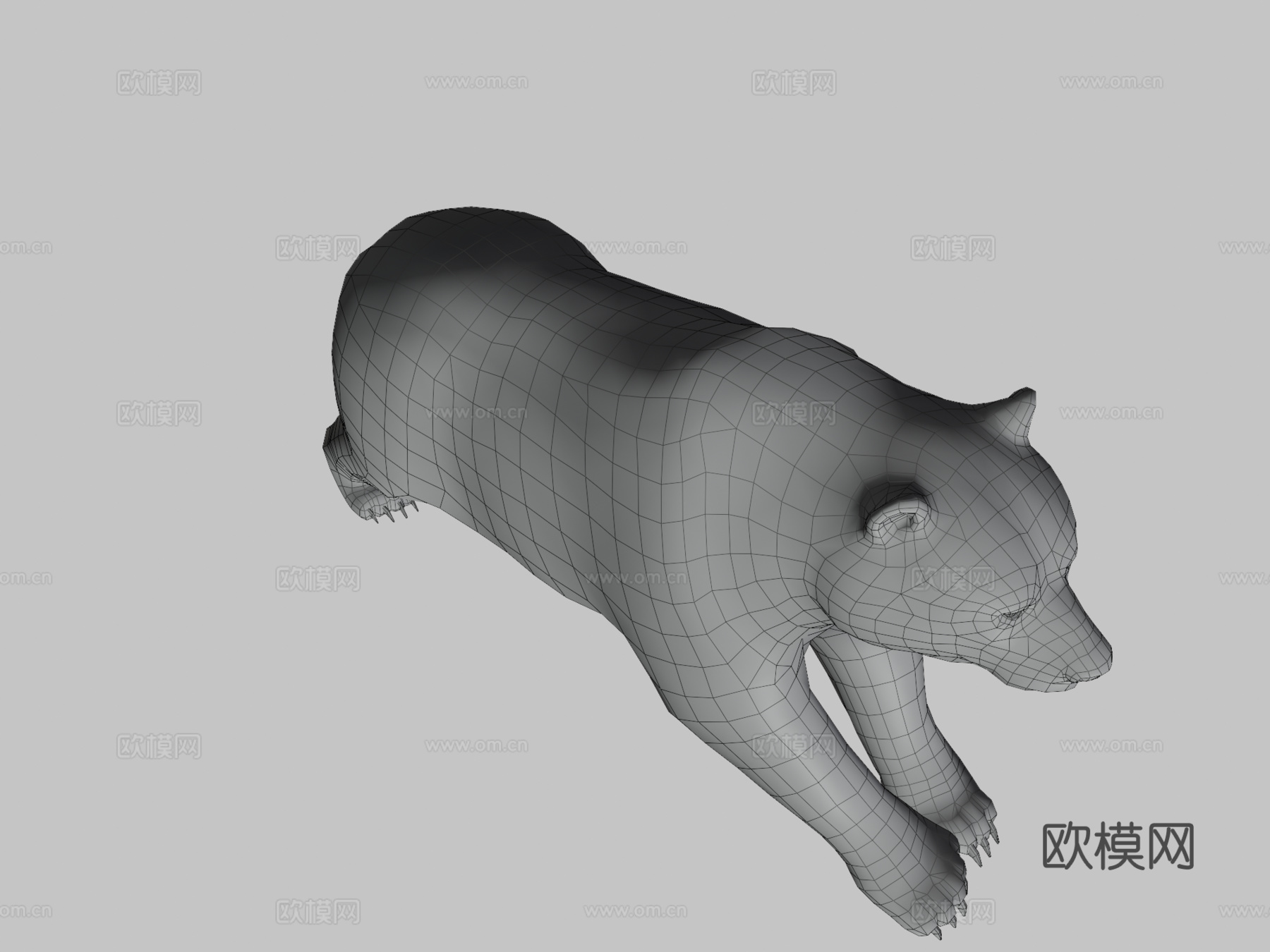棕熊3d模型