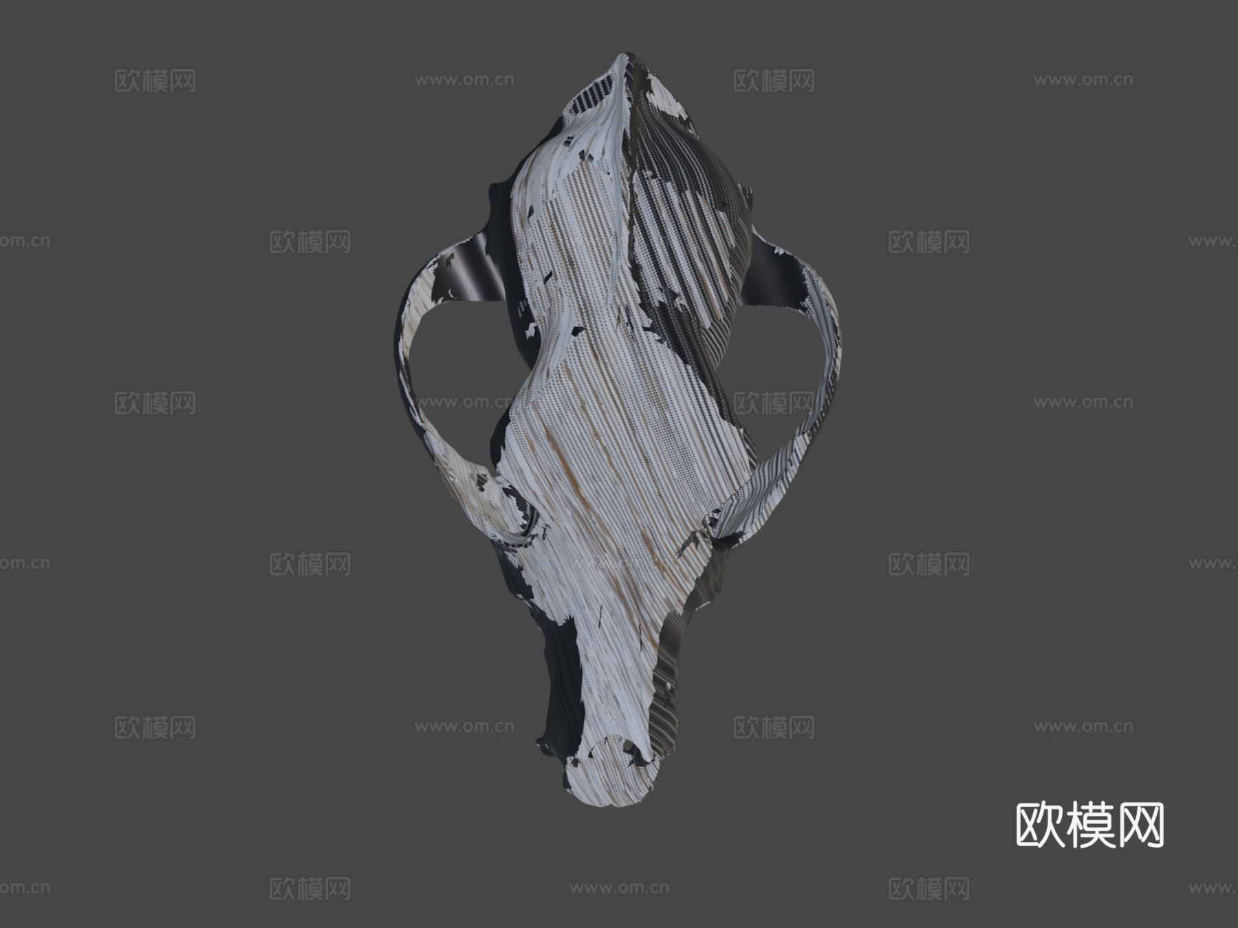 狗头骨测试3d模型