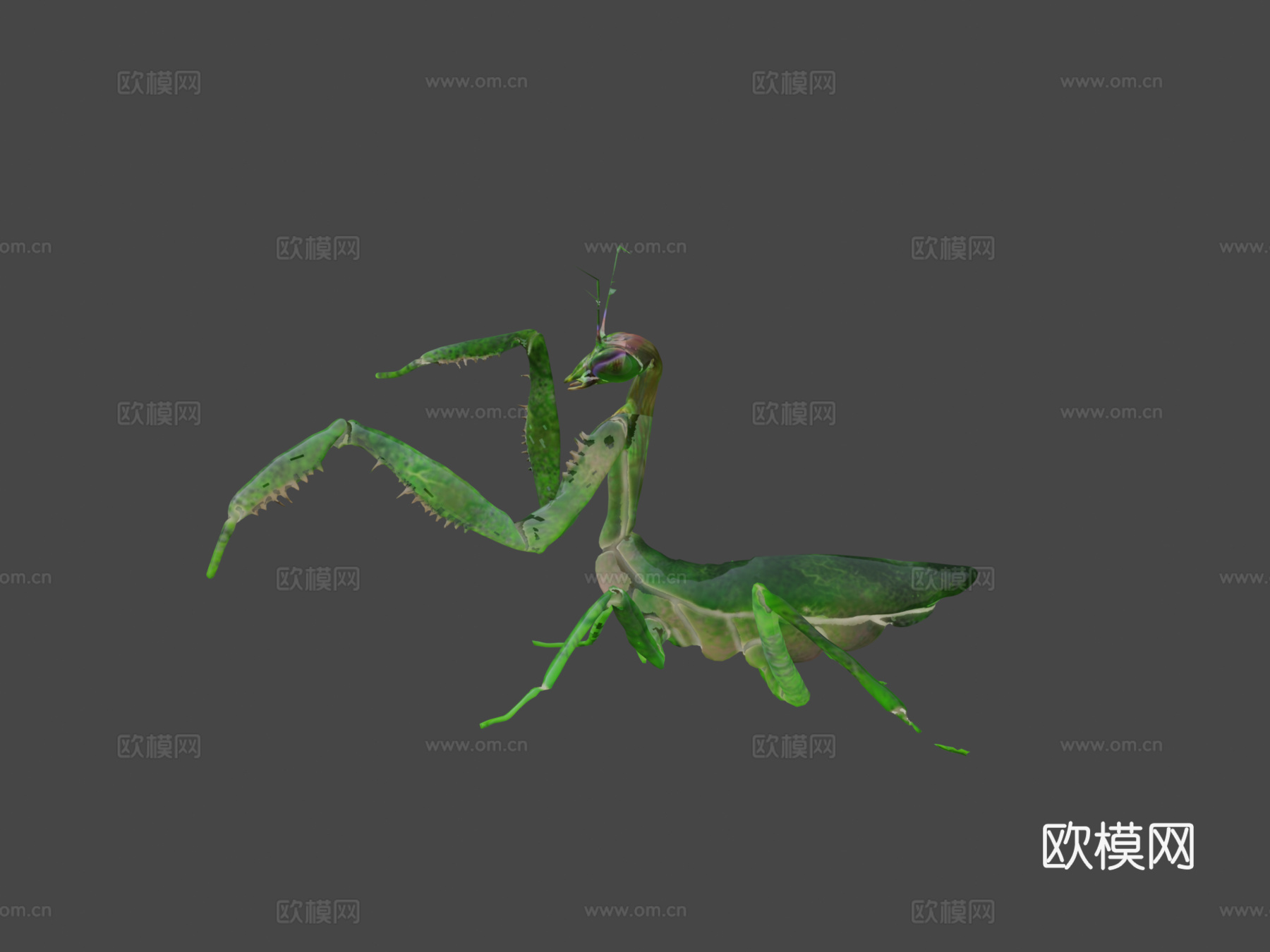 螳螂3d模型