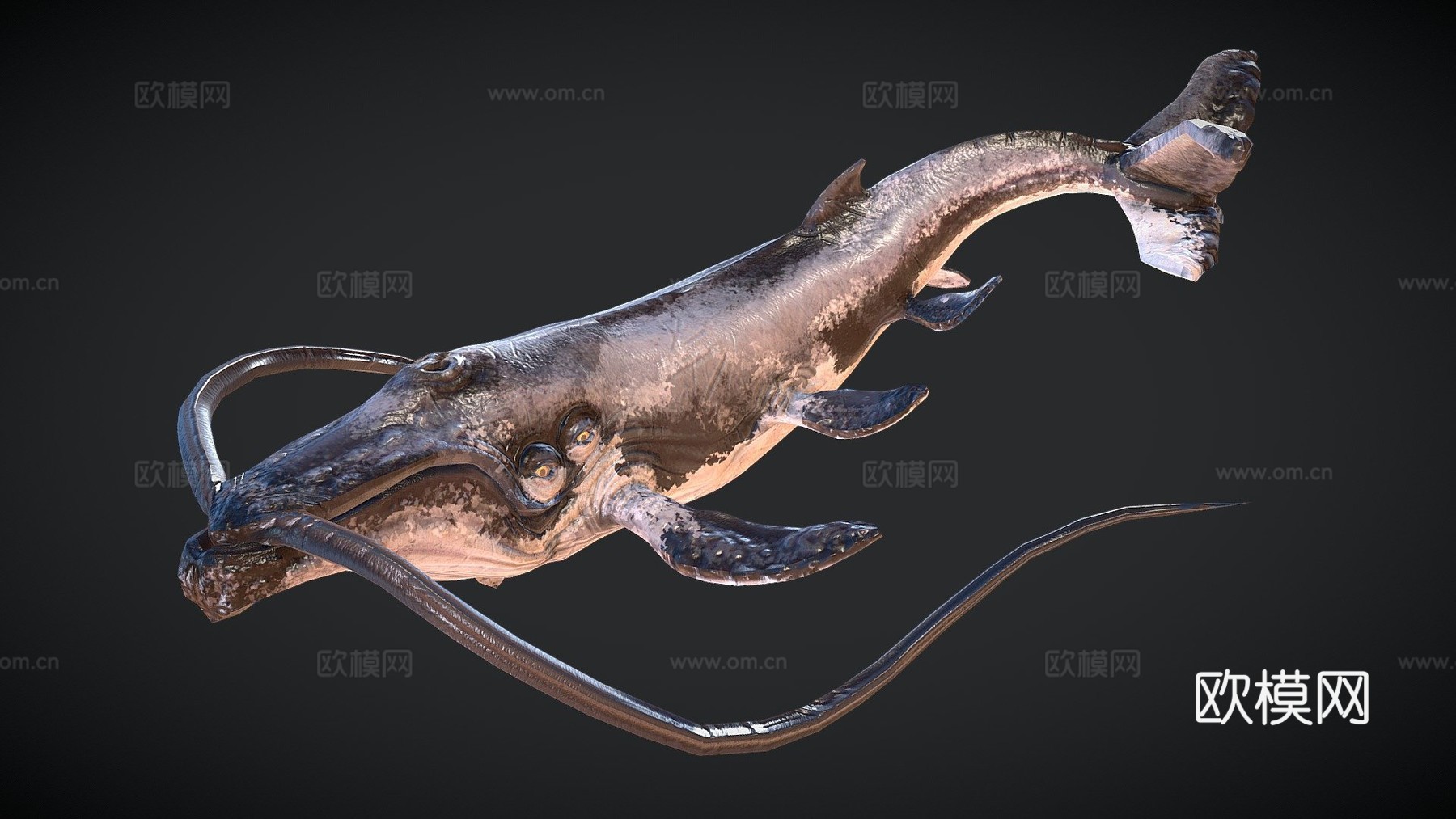 须鲸3d模型