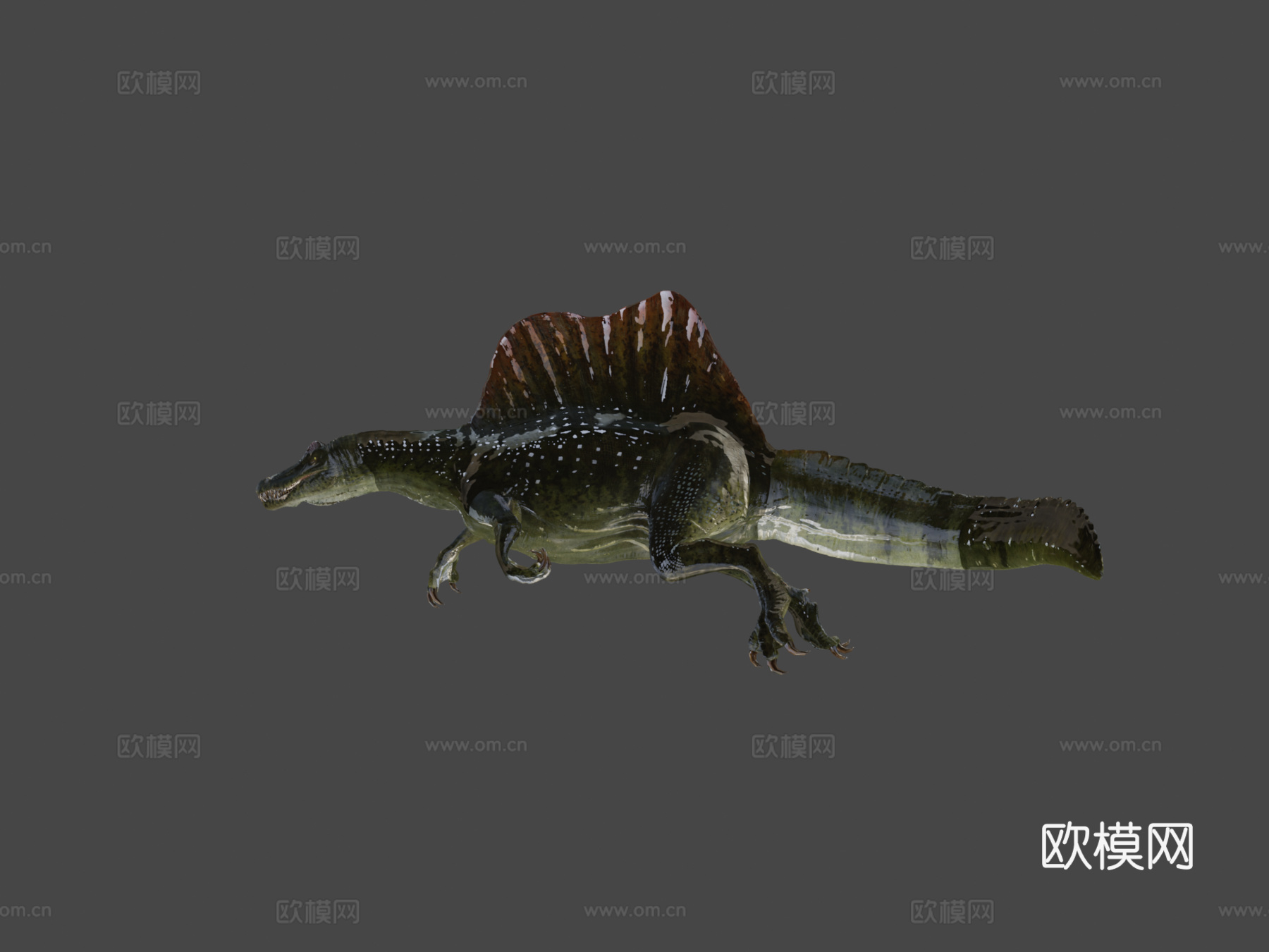 棘龙3d模型