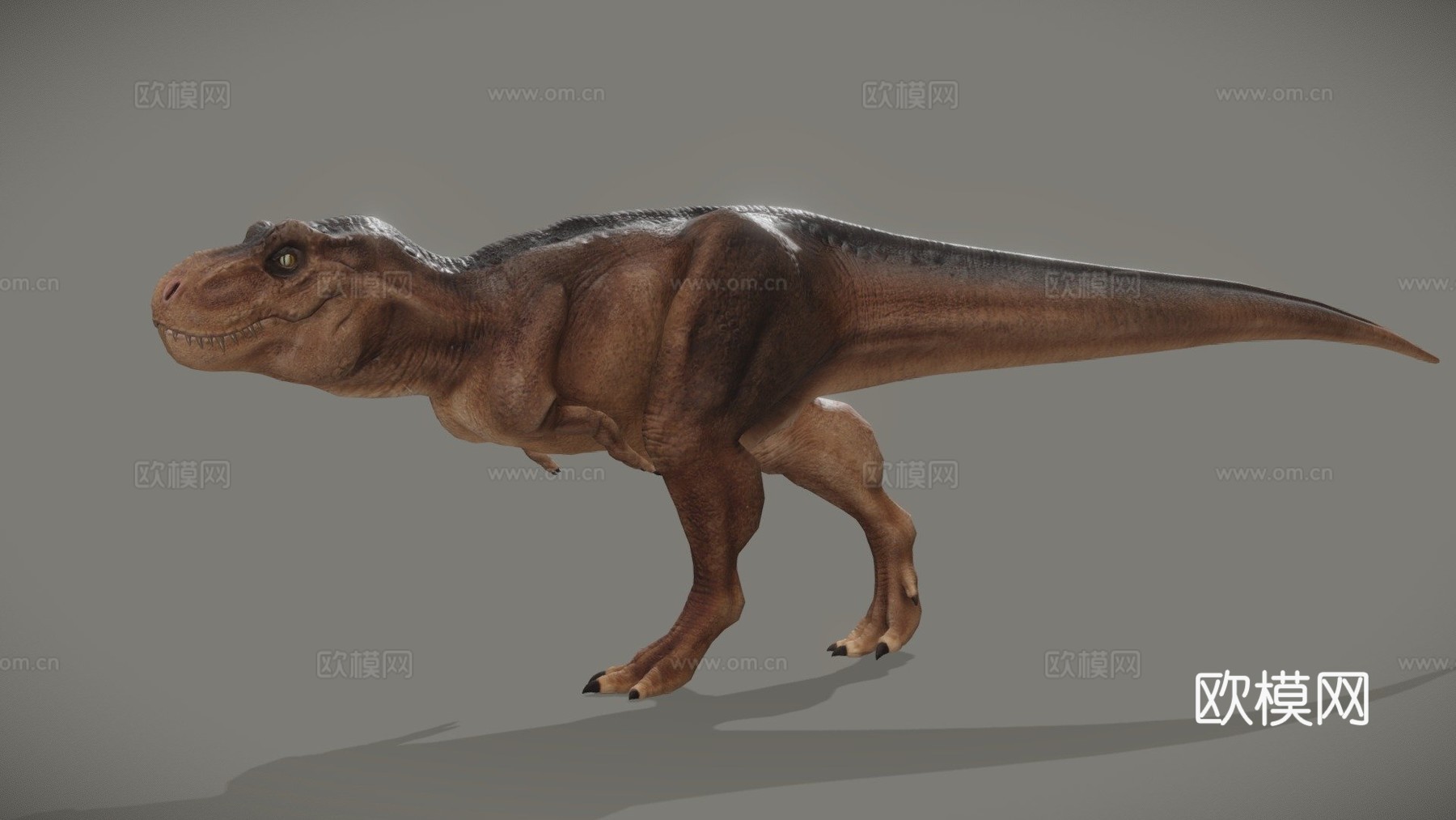 霸王龙3d模型