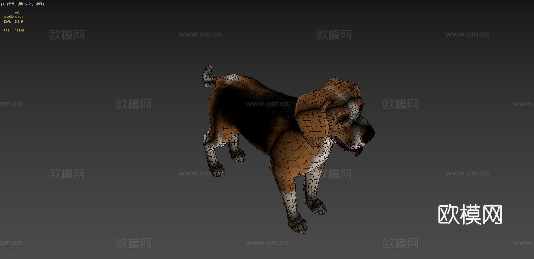 狗-比格犬3d模型