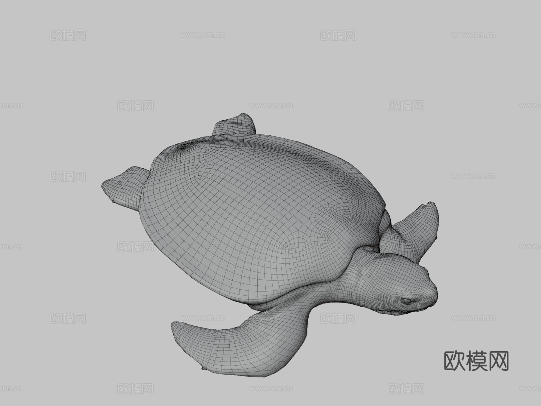 模型53A-平背海龟3d模型