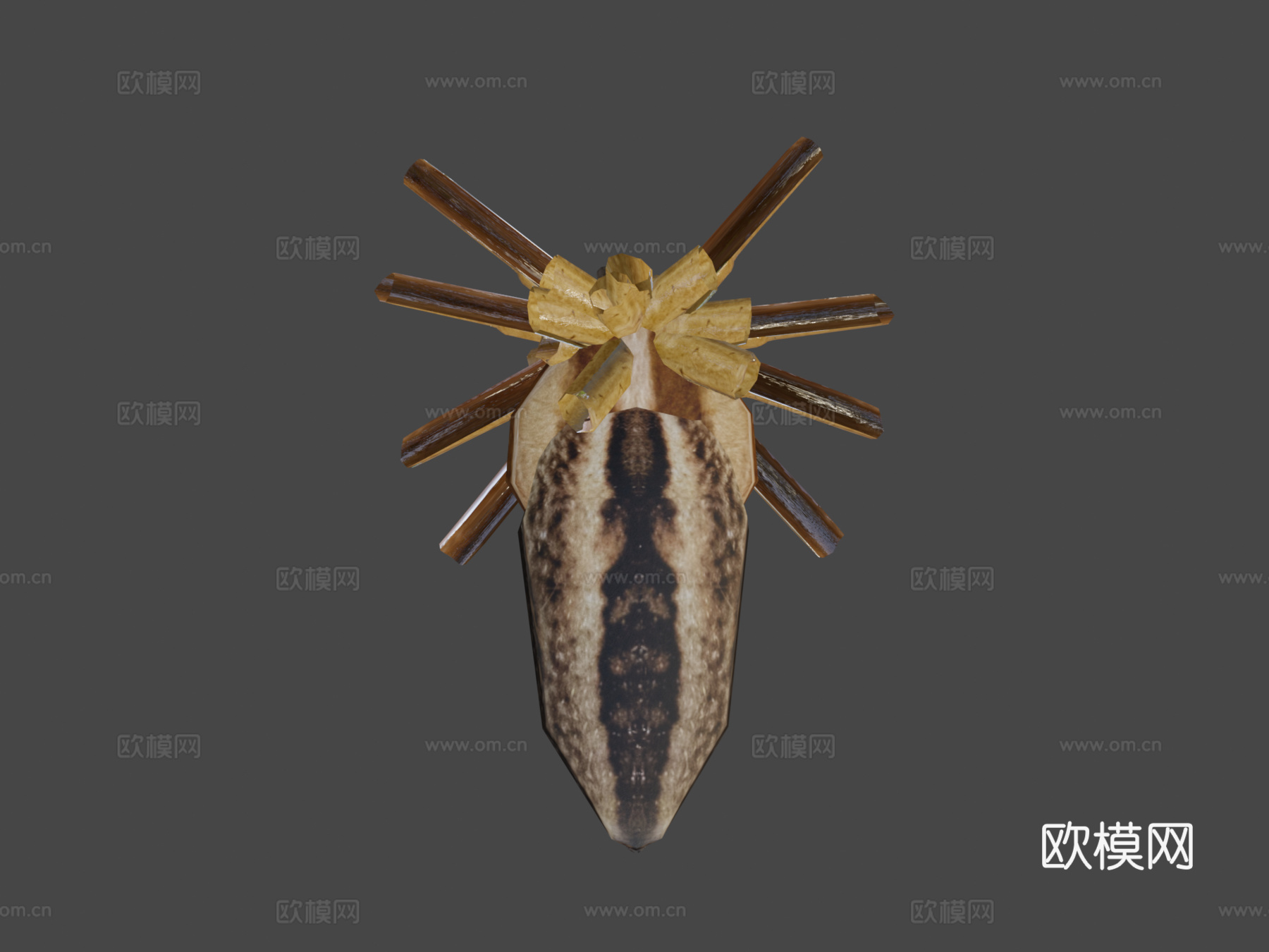狼蛛(绑定)-3d模型