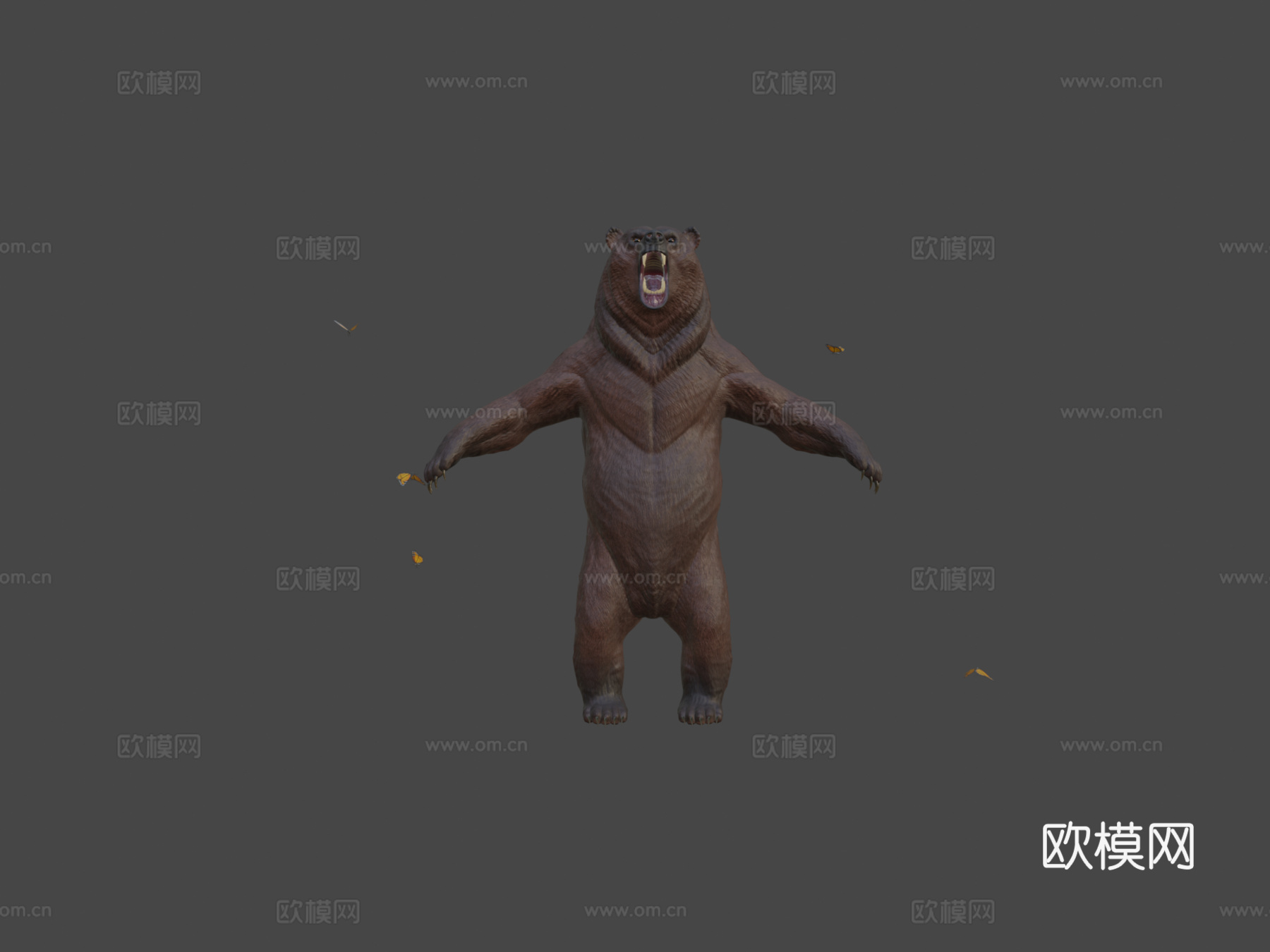 强壮熊3d模型
