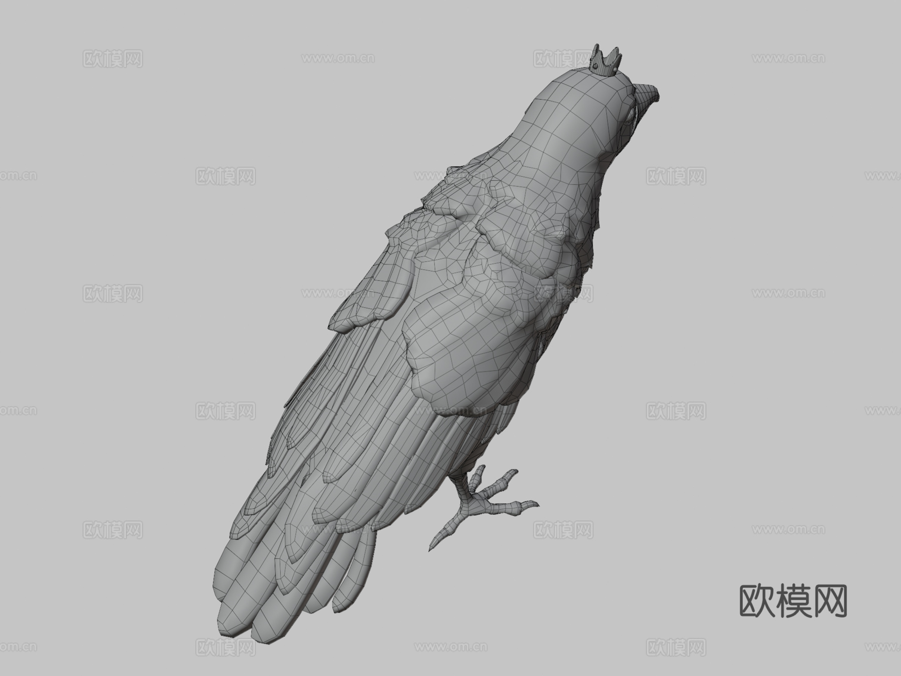 乌鸦3d模型