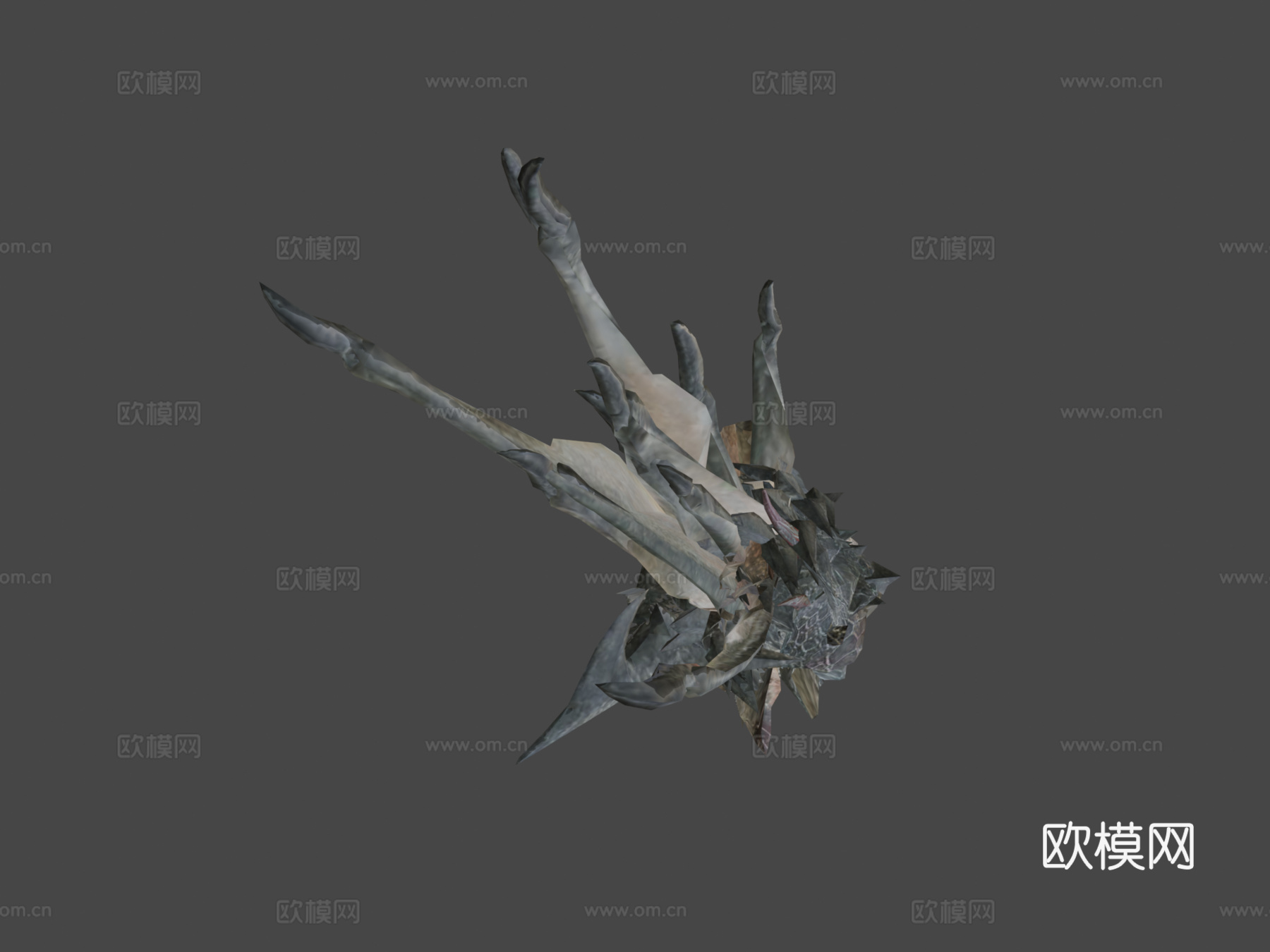 双足飞龙动画3d模型