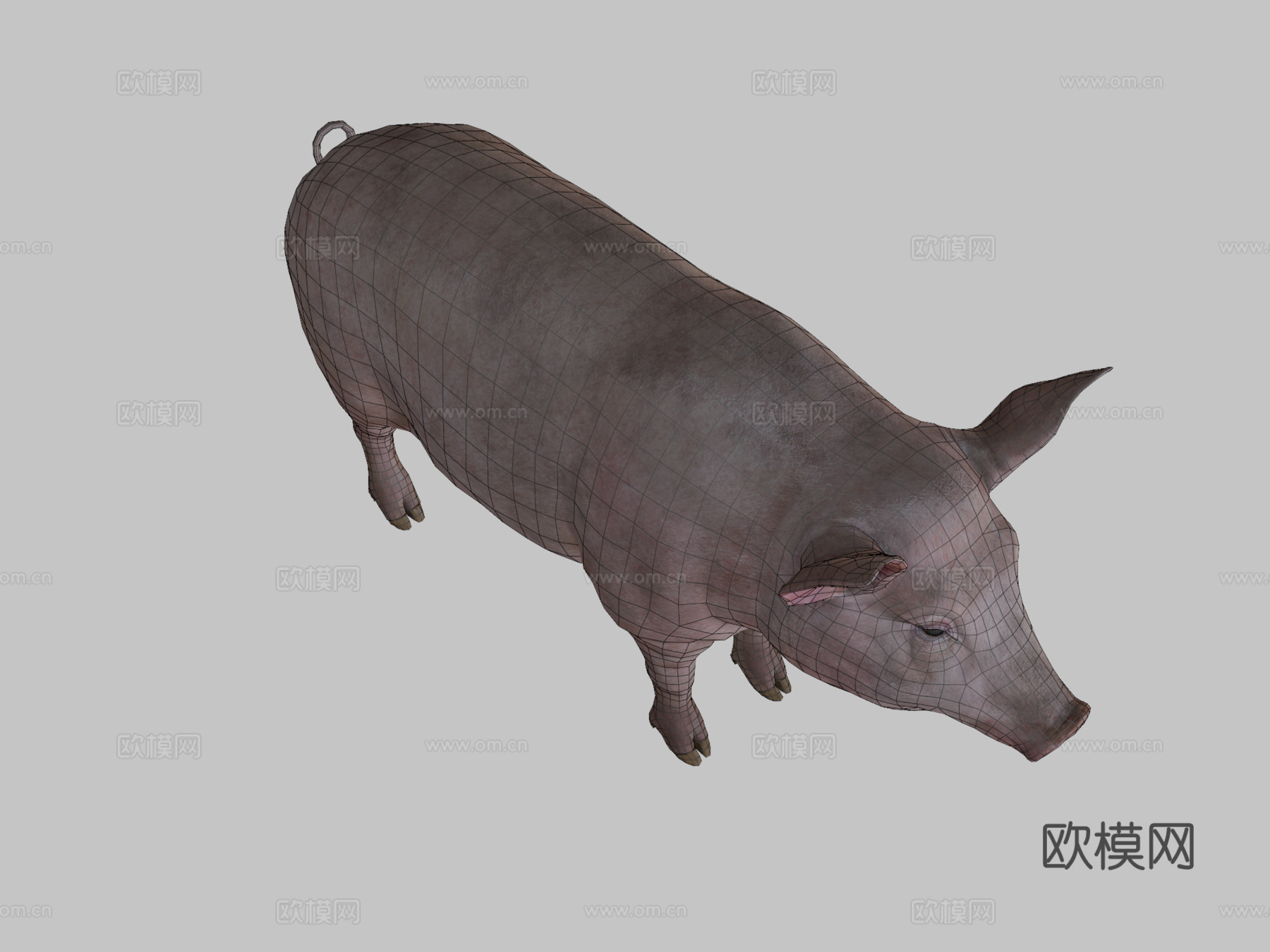 猪动画3d模型