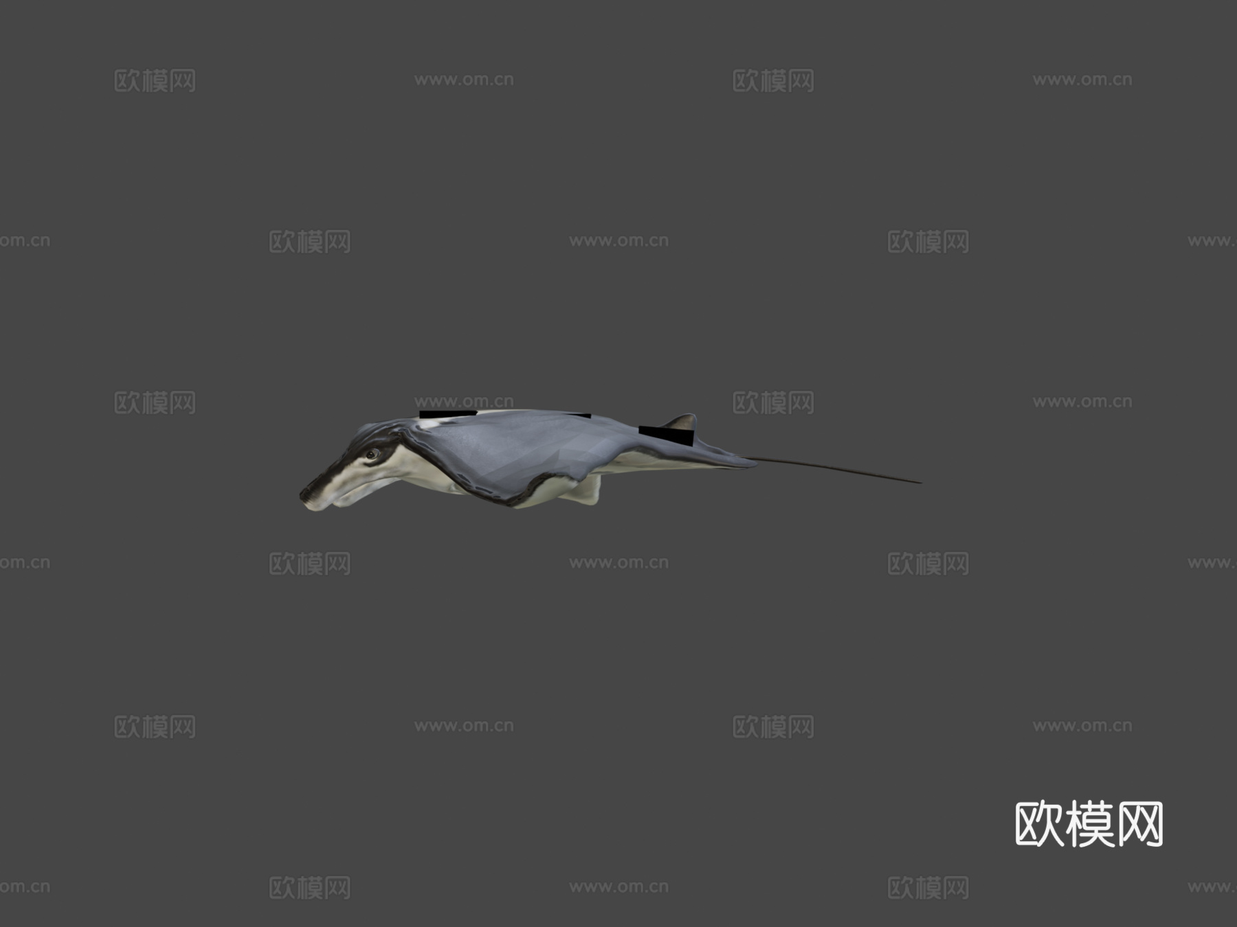 蝠鲼3d模型