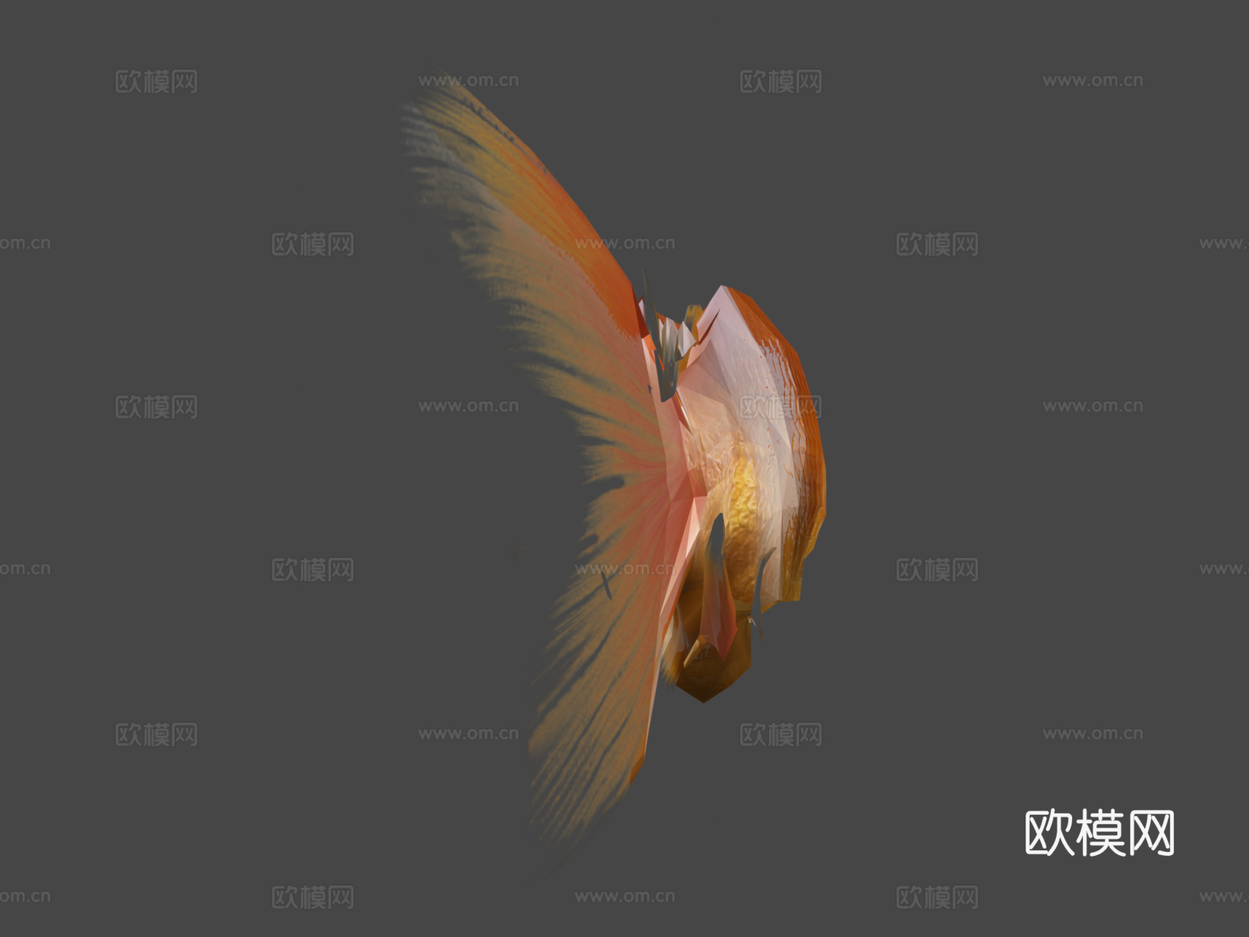 金鱼3D，低多边形3d模型