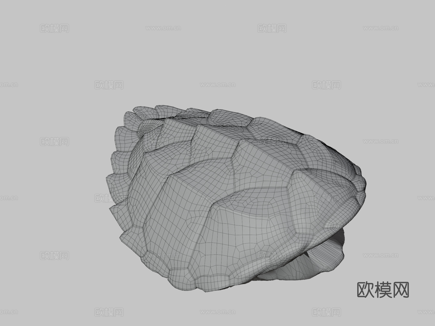 玳瑁海龟♂3d模型