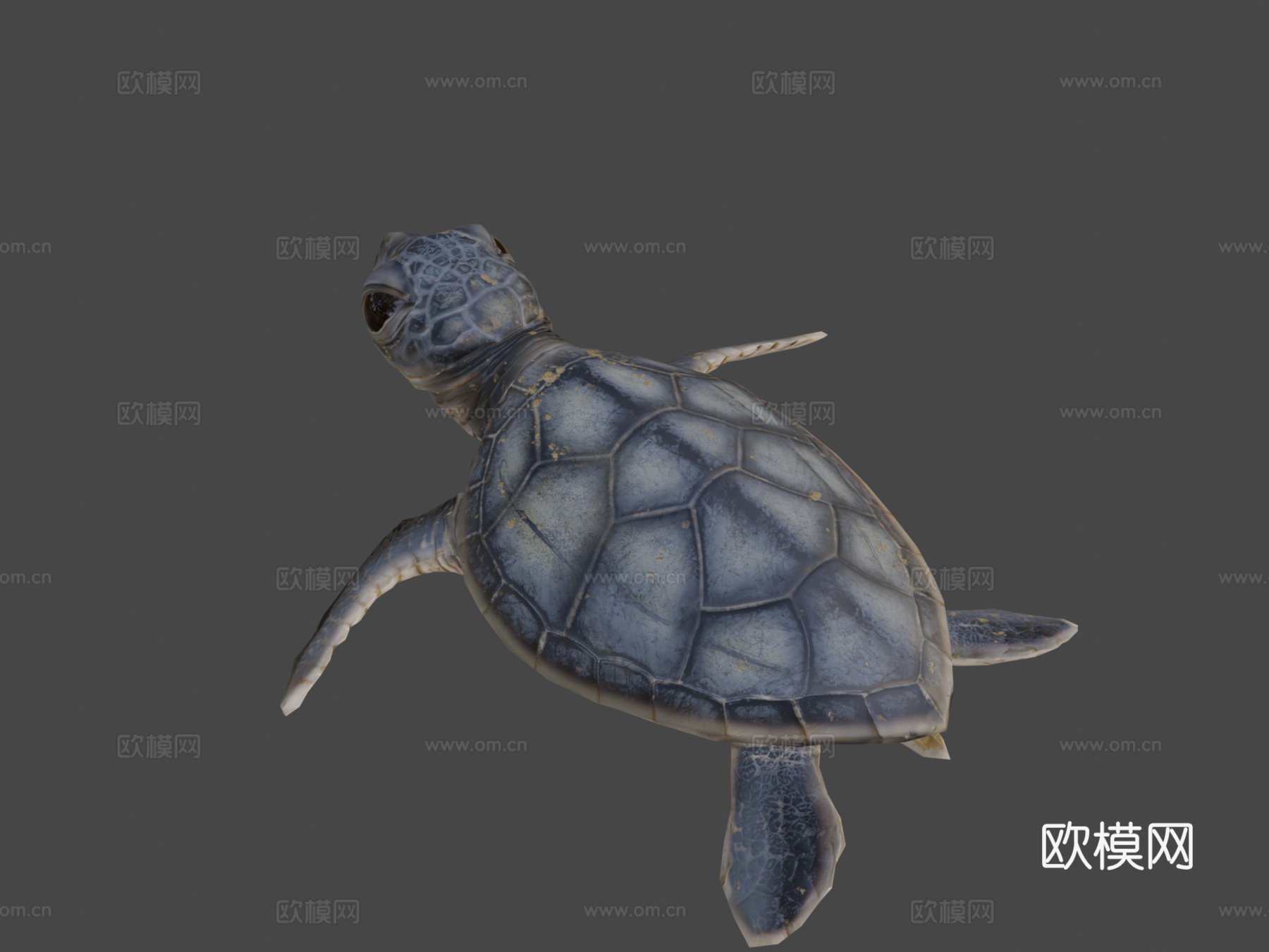 游戏级乌龟3d模型