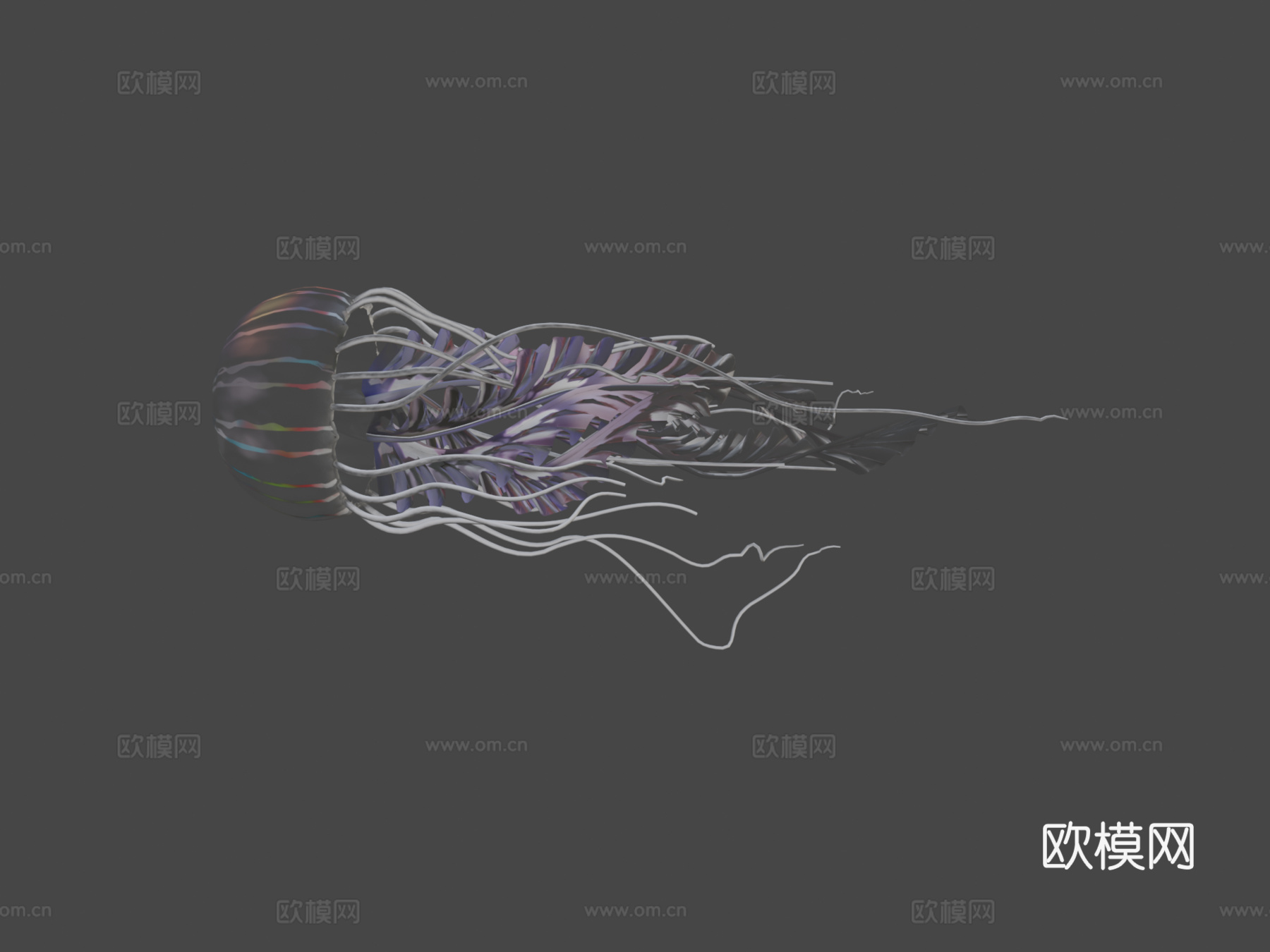 水母_0013d模型