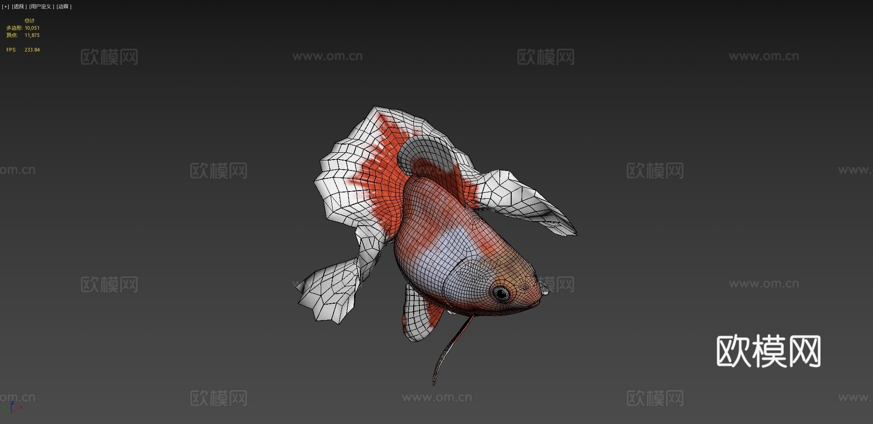 土佐金鱼3d模型