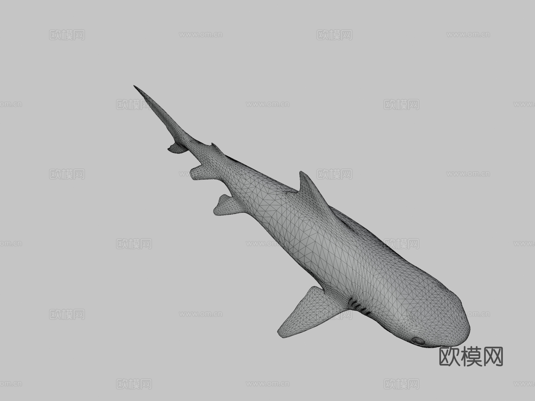 虎鲨3d模型