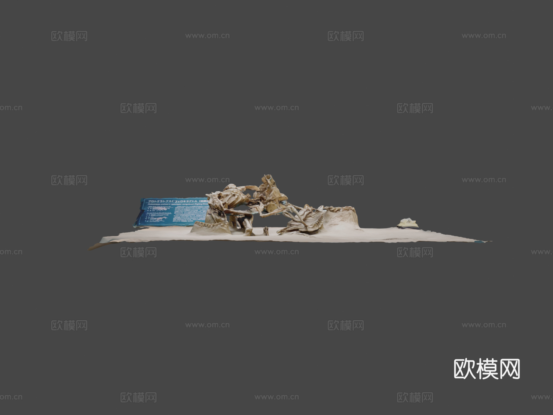 战斗恐龙3d模型