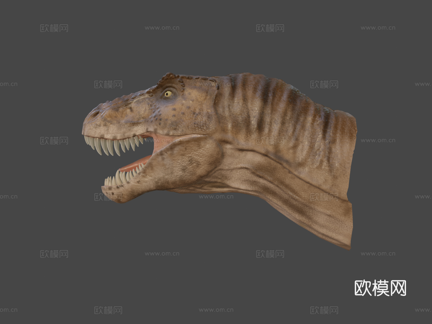 雷克西霸王龙3d模型