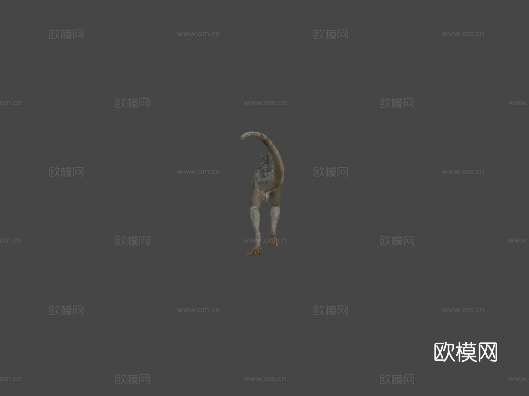 双脊龙3d模型