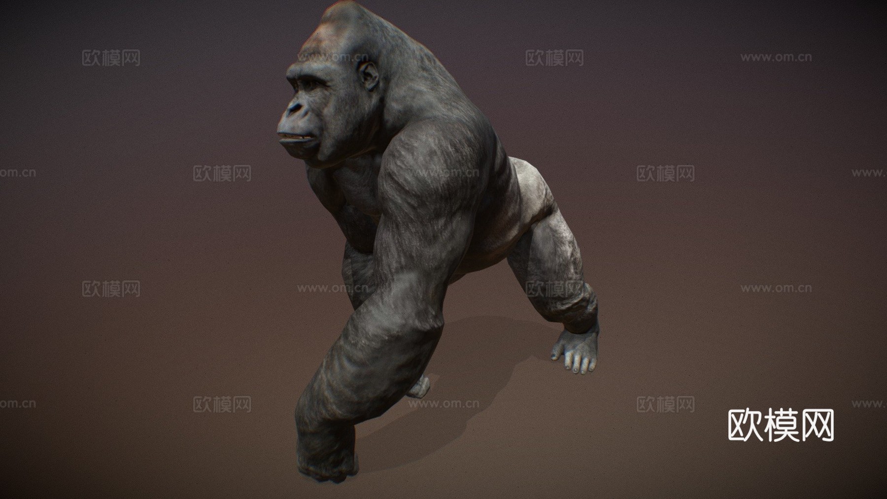动物王国-大猩猩3d模型